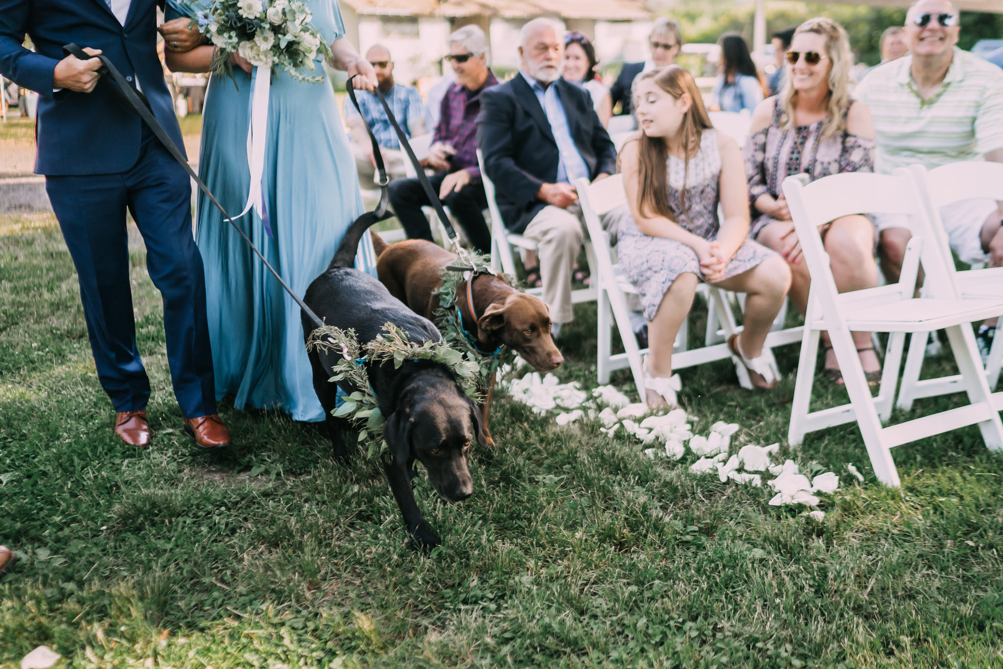 Bride groom dogs ring bearers Portland Oregon Backyard Wedding Ceremony