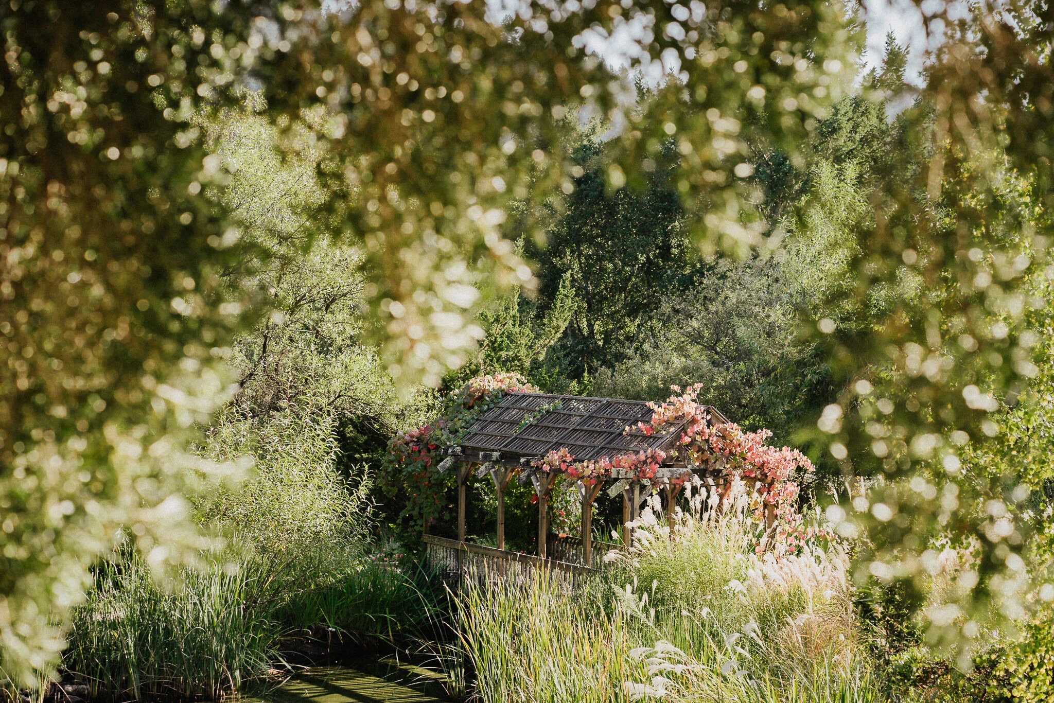 Hans Fahden Winery bridge cover arbor