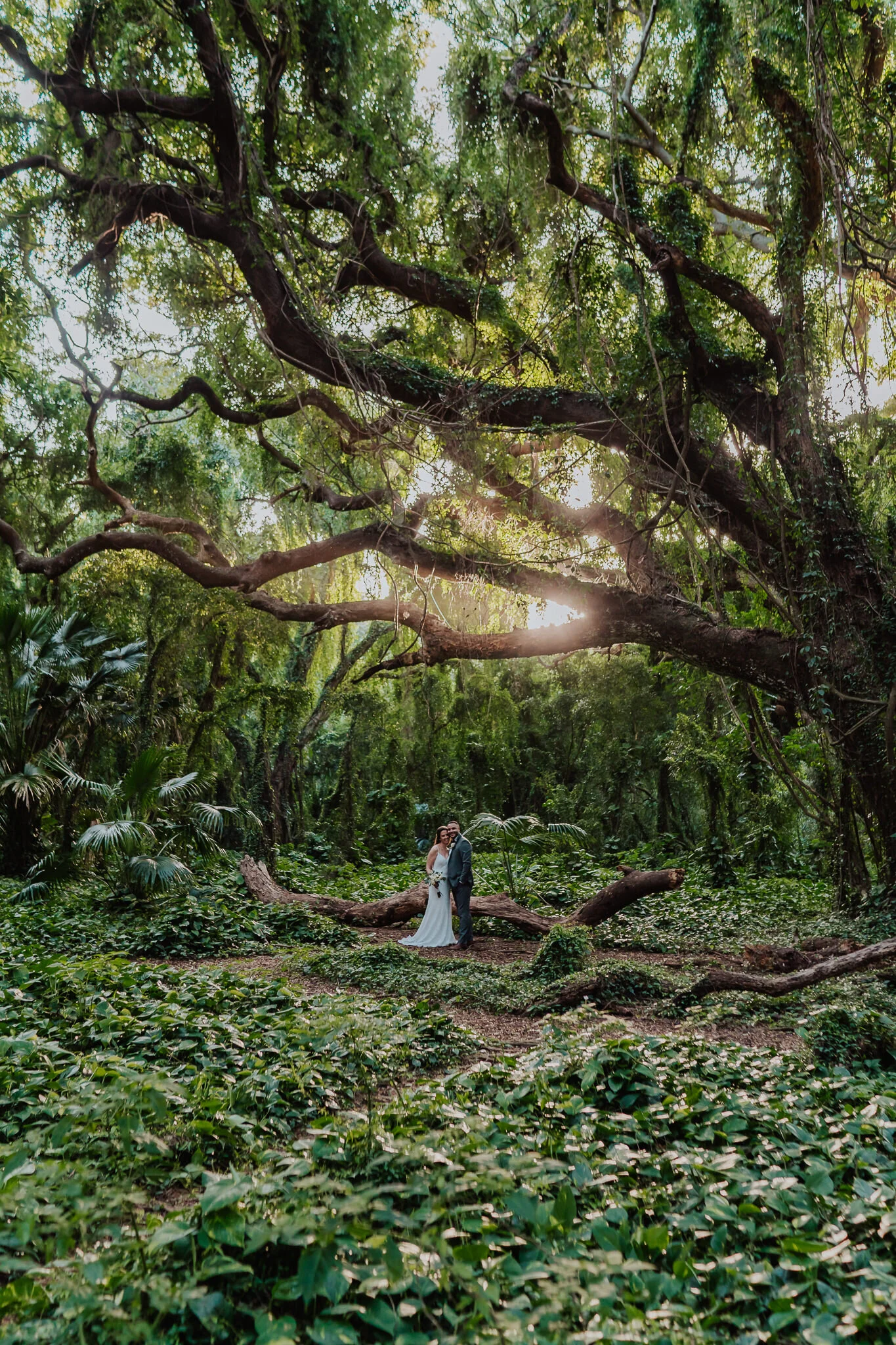 Portrait mode of Honolua Forest lush environment.