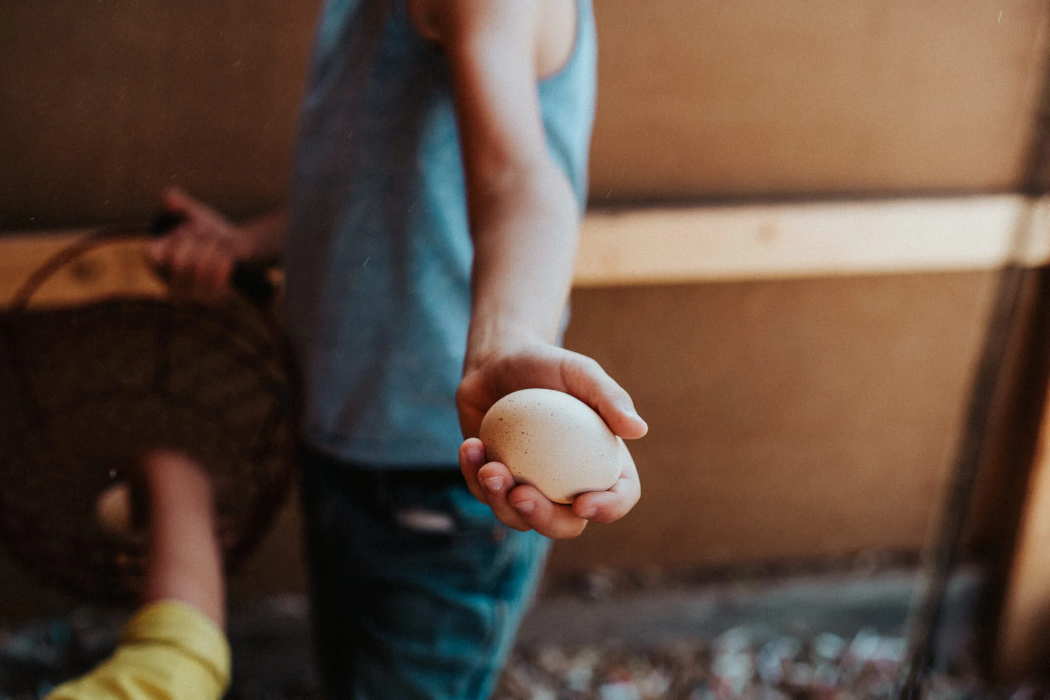 A speckled egg from the chicken coop.