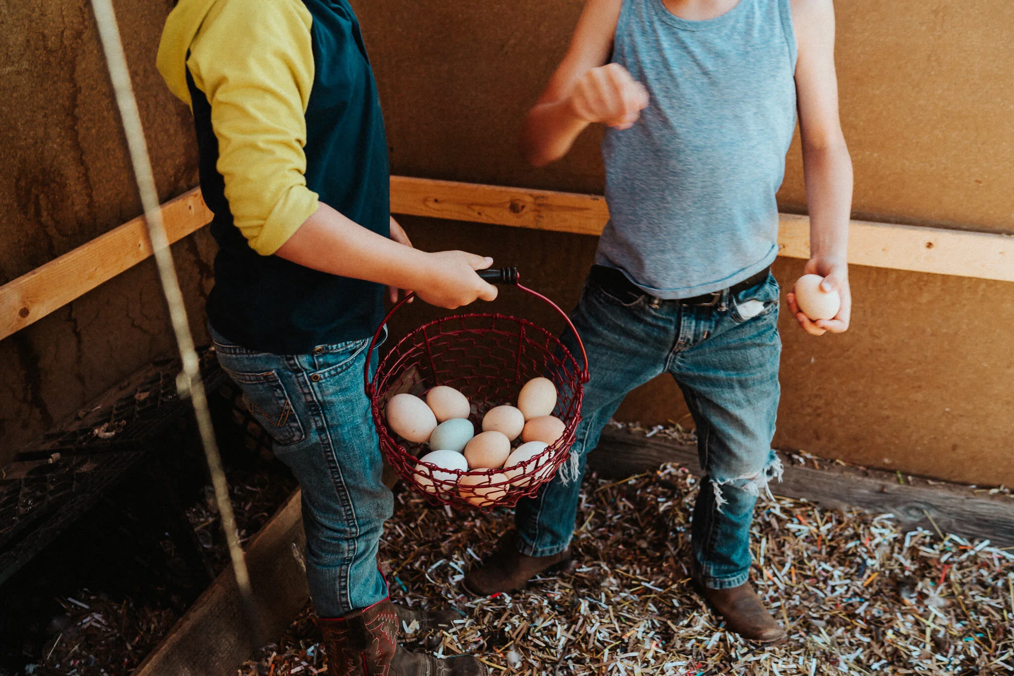 A basket full of eggs from the coop.