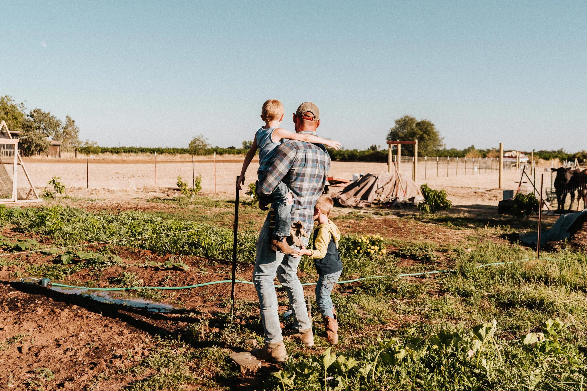 A man holds two boys as they survey the garden.