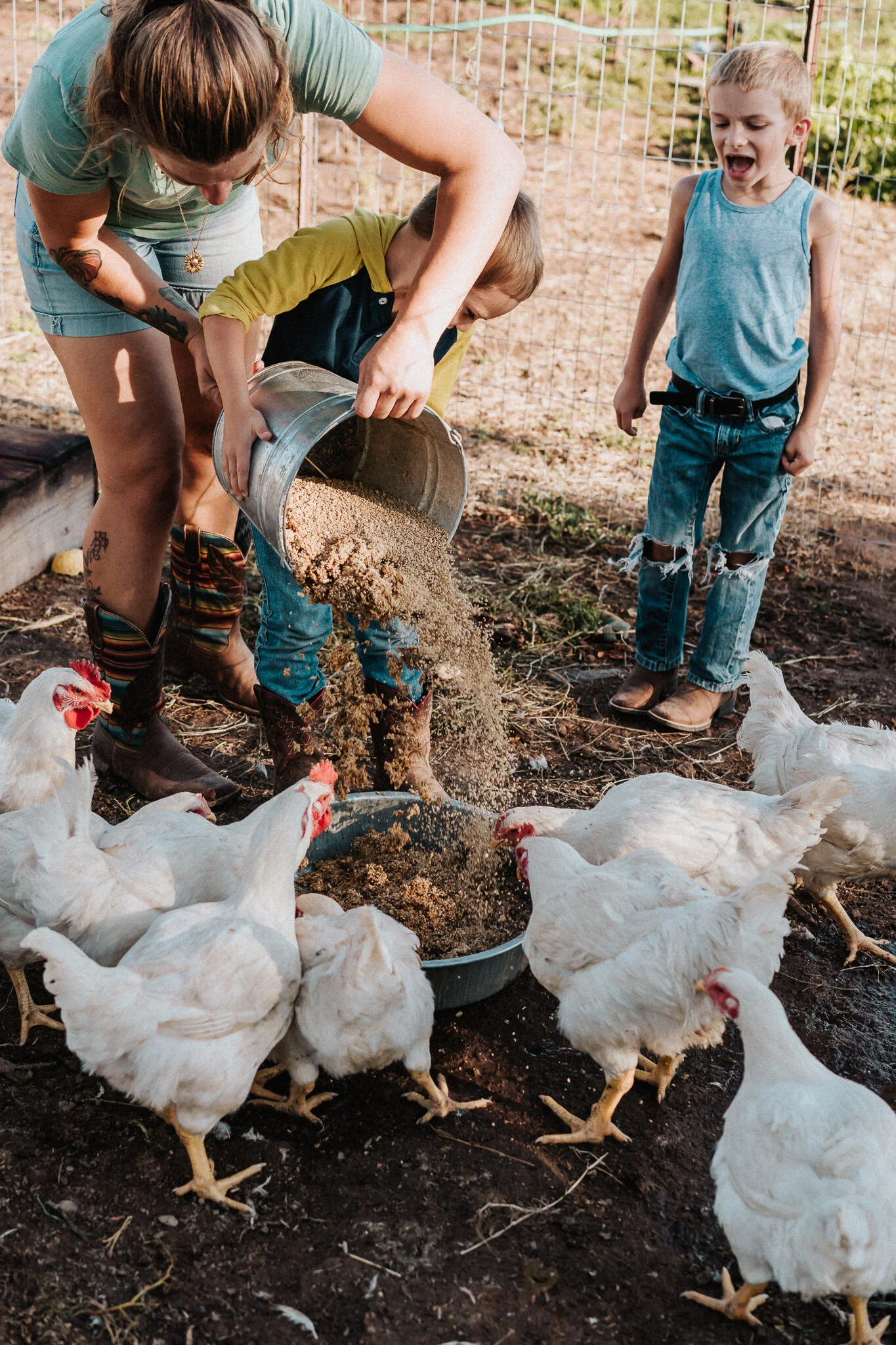 Mother and son feeds the chickens.