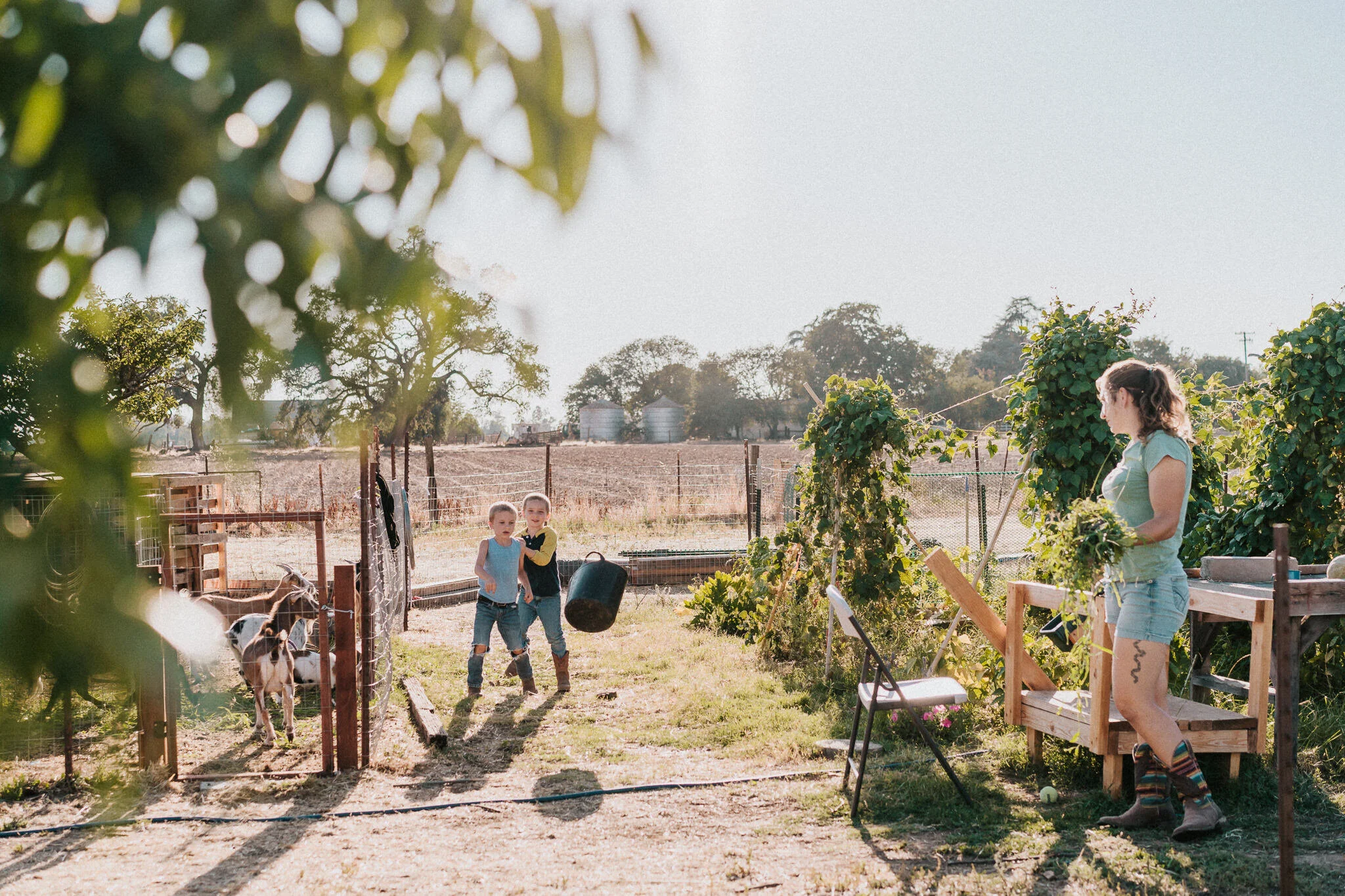 Mother and sons work together in the garden to feed the goats.