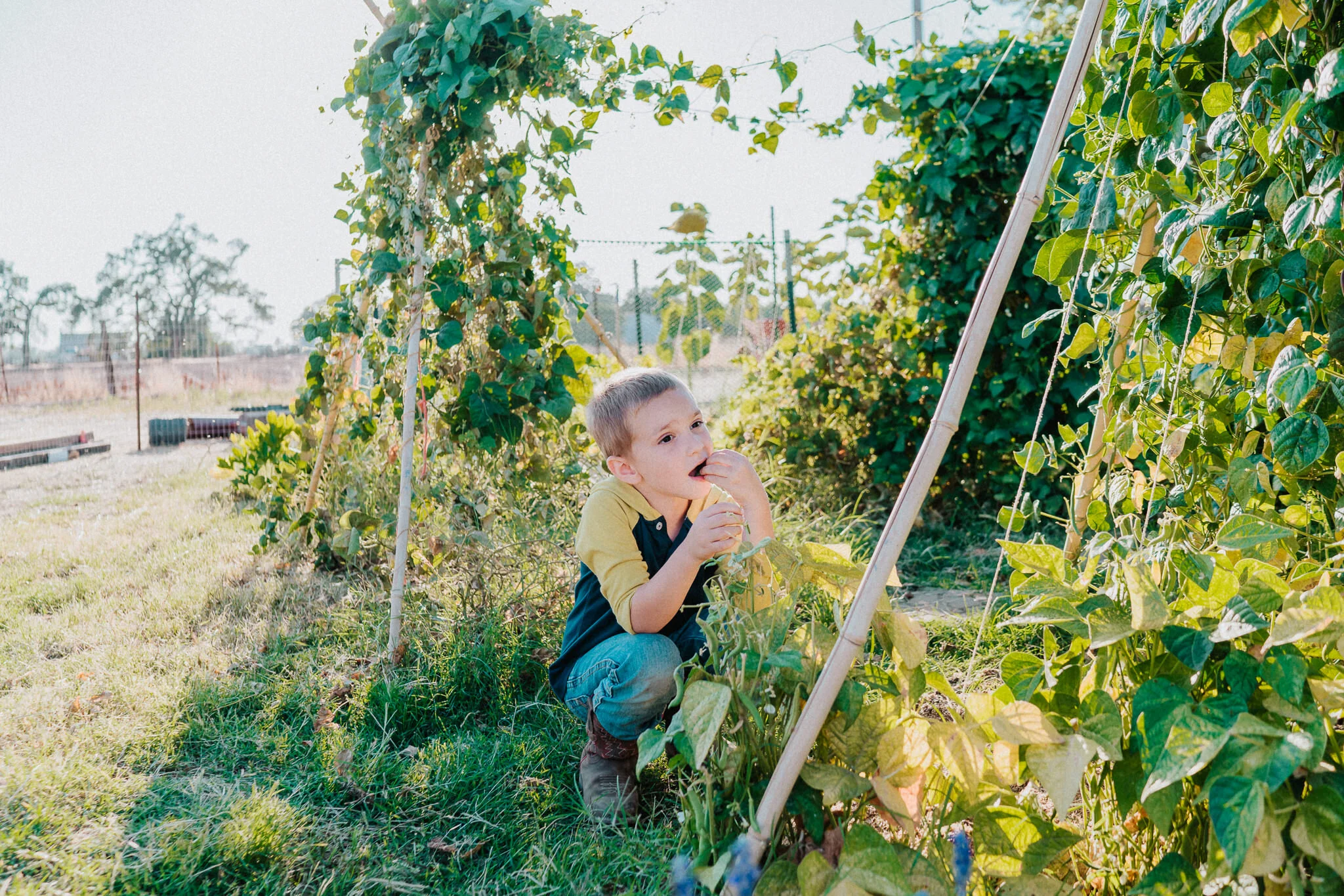 Snacking in the garden.
