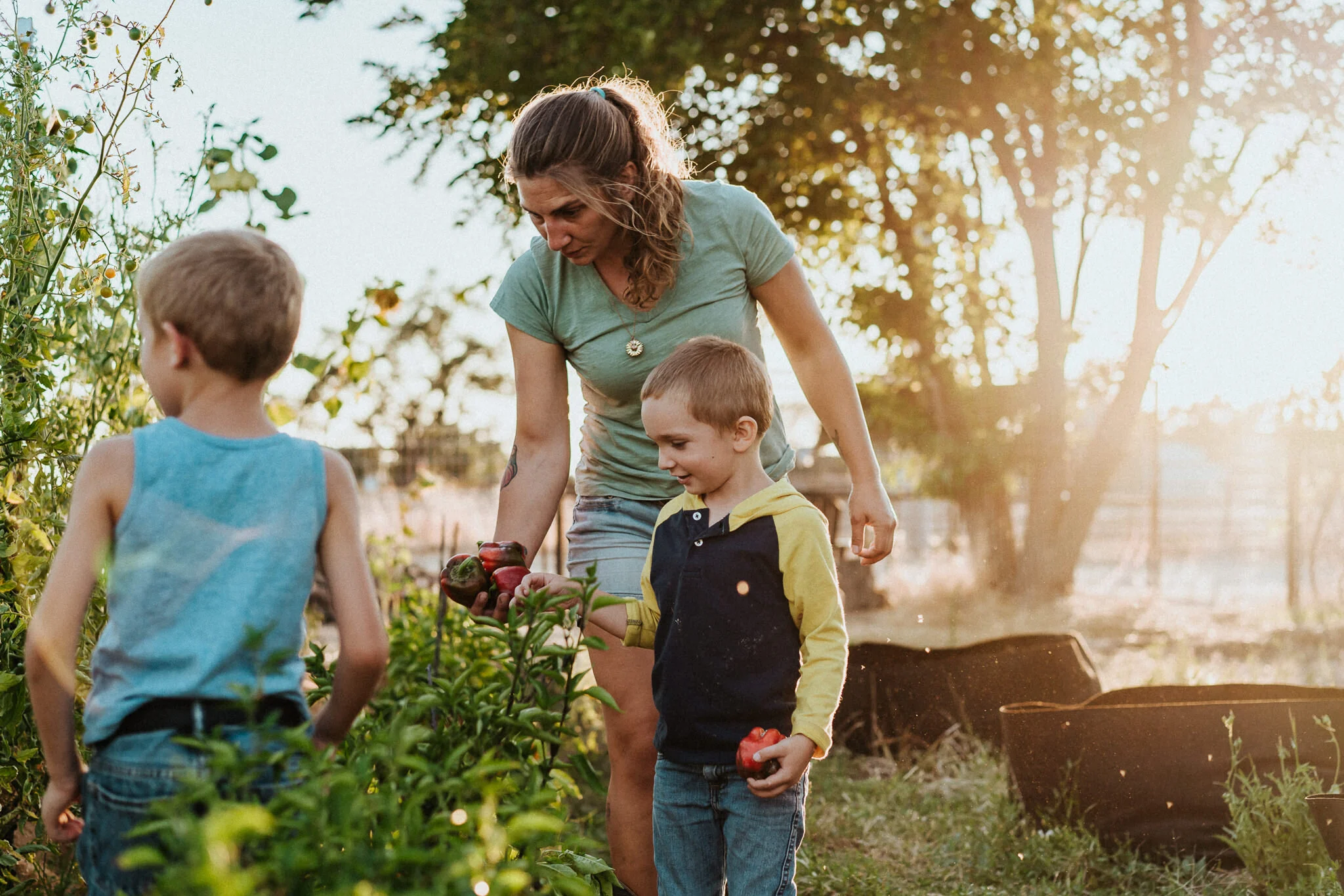 Mother with her sons, picking vegetables from the garden.