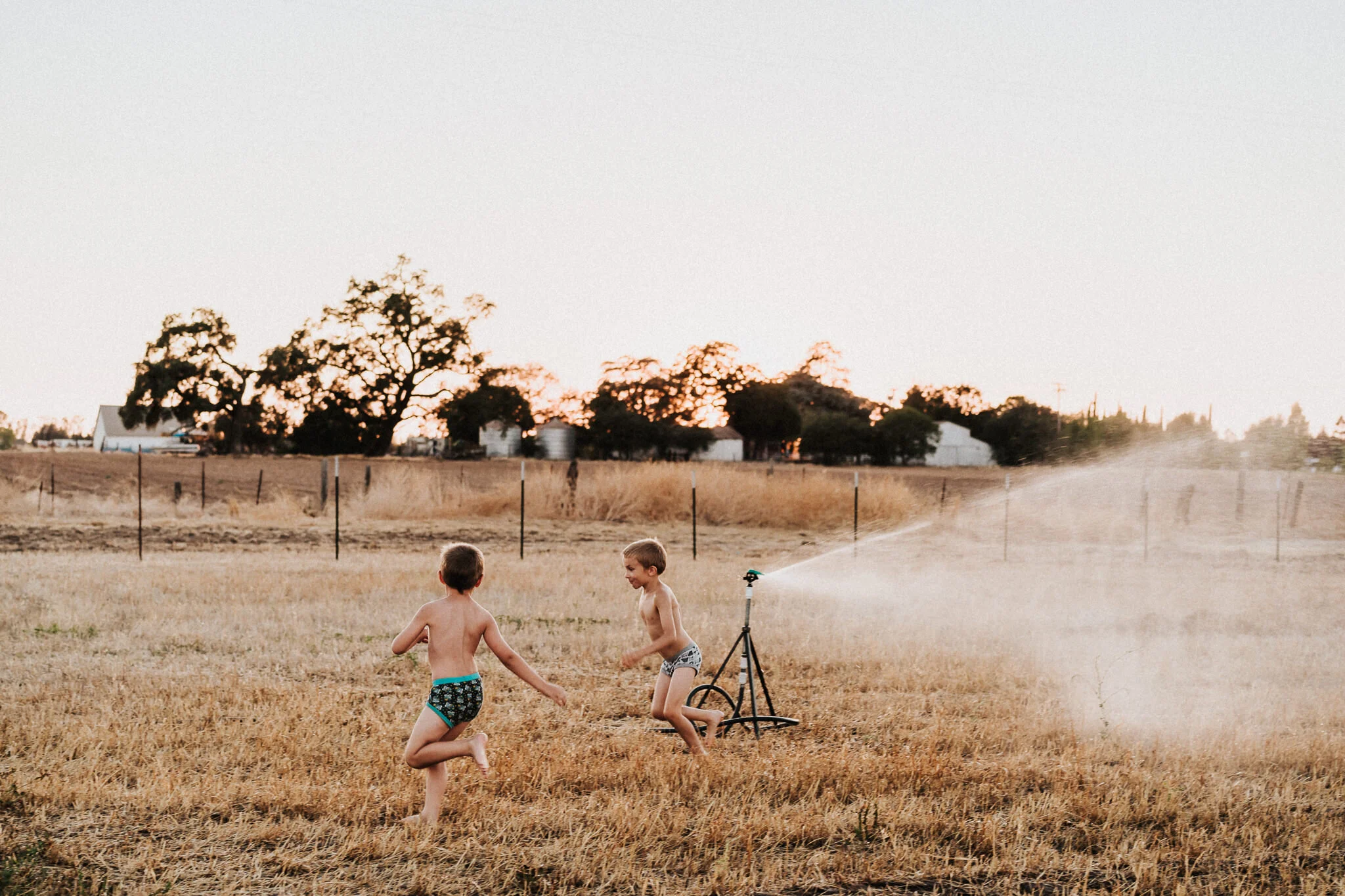 Boys running in the pasture.