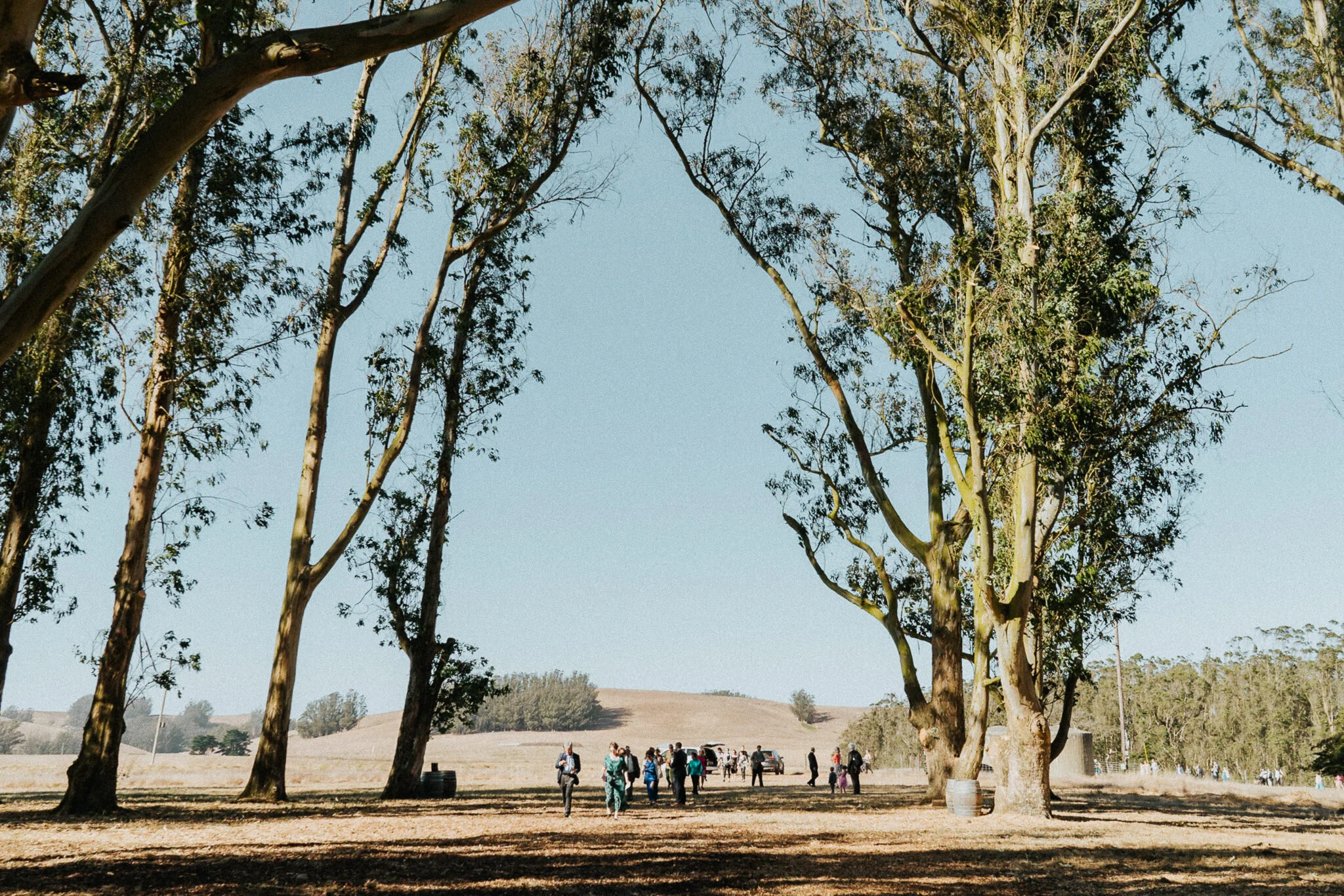 Stemple-Creek-Ranch-Wedding-photographer-97.jpg