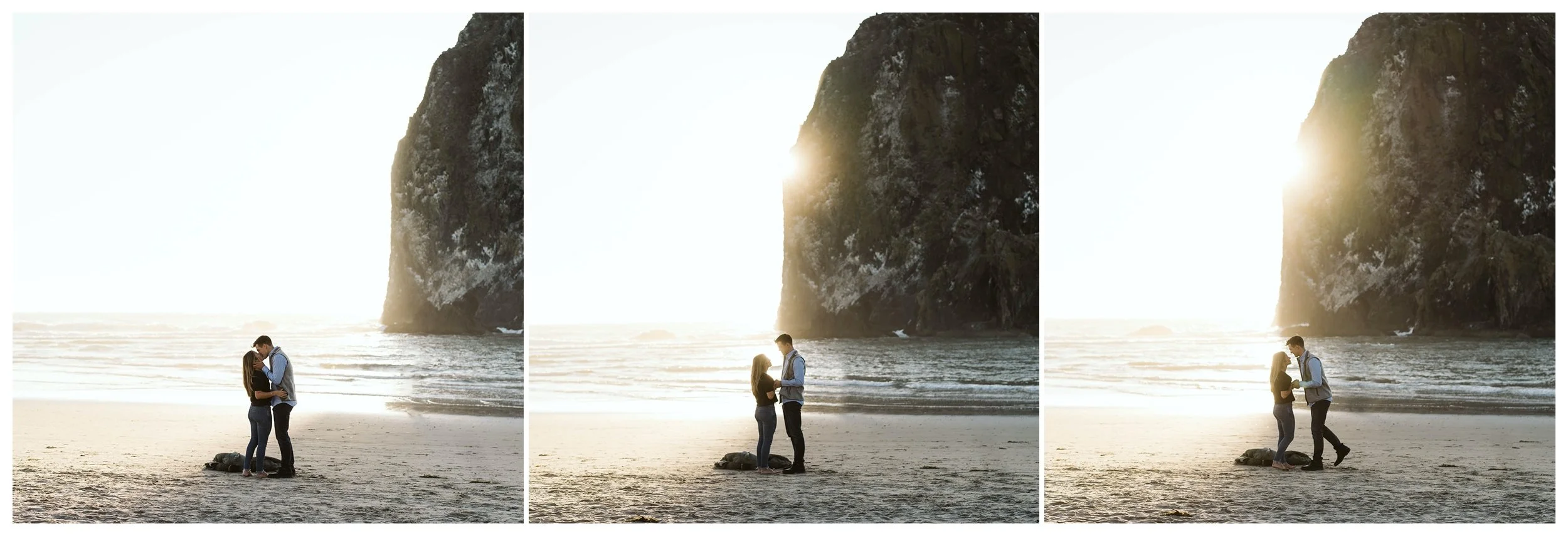Oregon Coast Haystack Rock Proposal