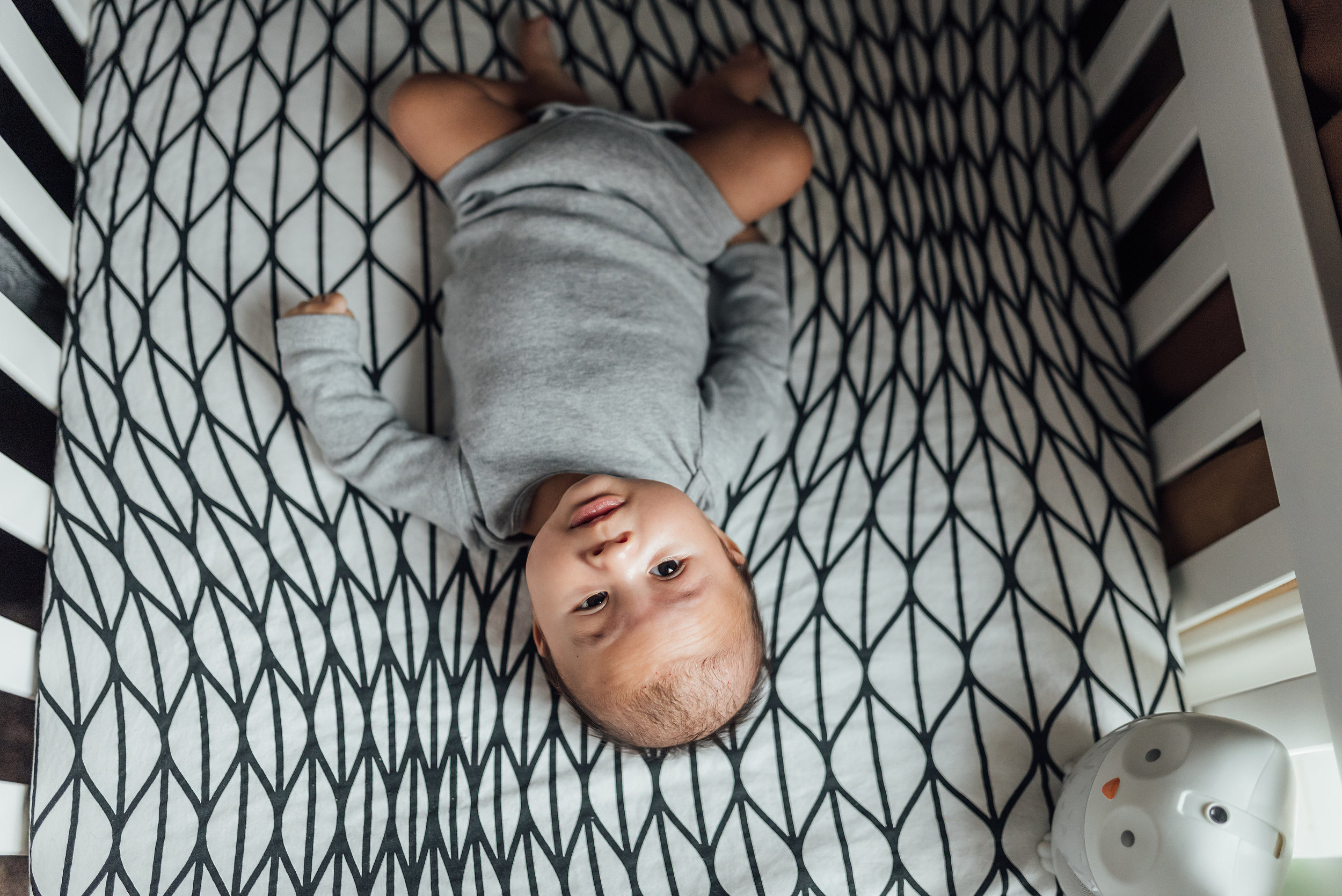 Hamilton and Niagara-region newborn photography