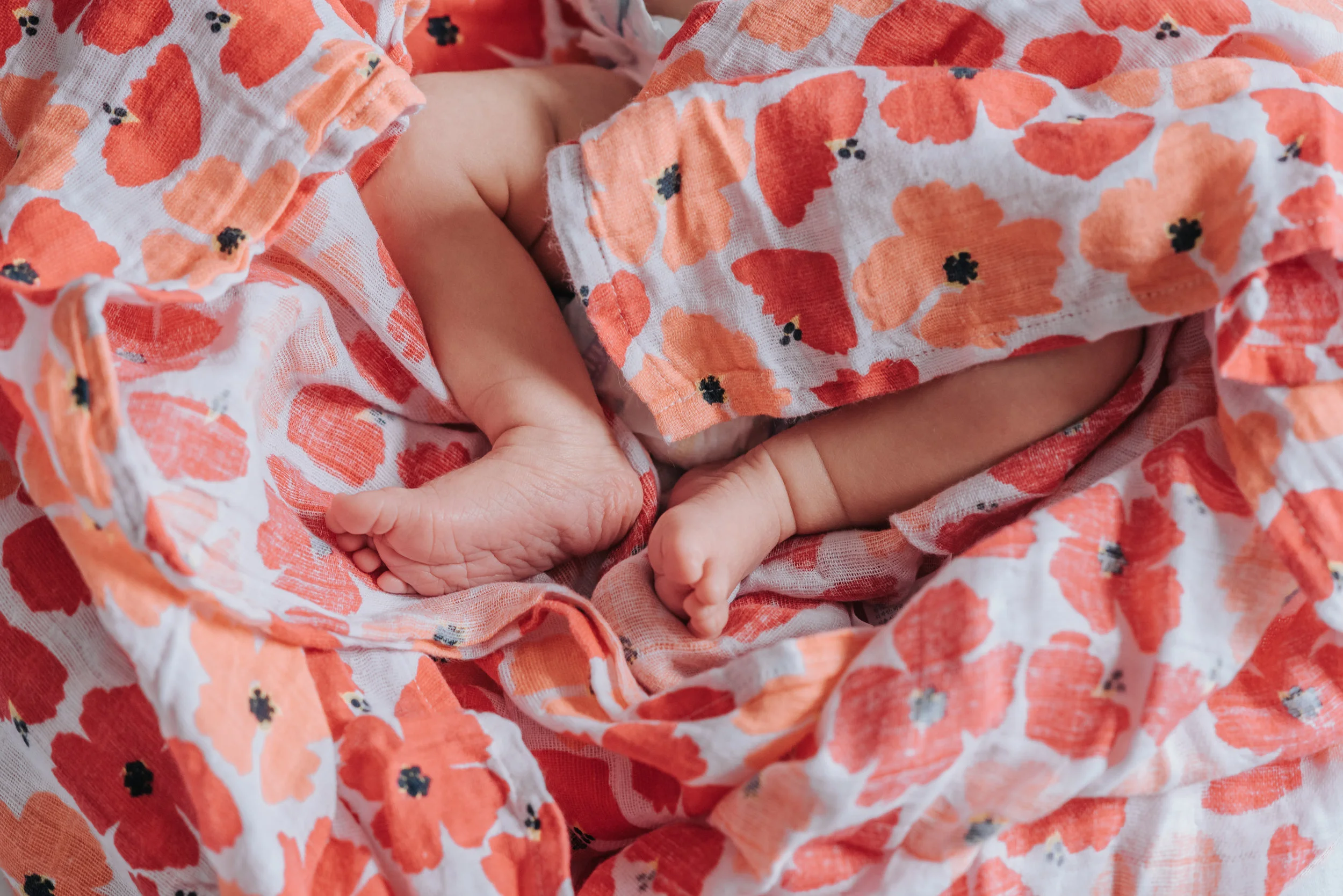 Baby_Alice_52.jpg
