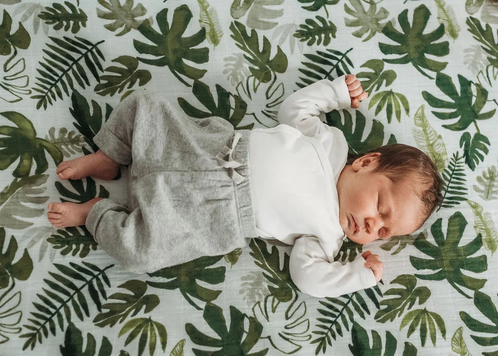 Baby Newborn Family Photography Hamilton Lincoln Grimsby Beamsville Niagara Vineland Lifestyle Newborn