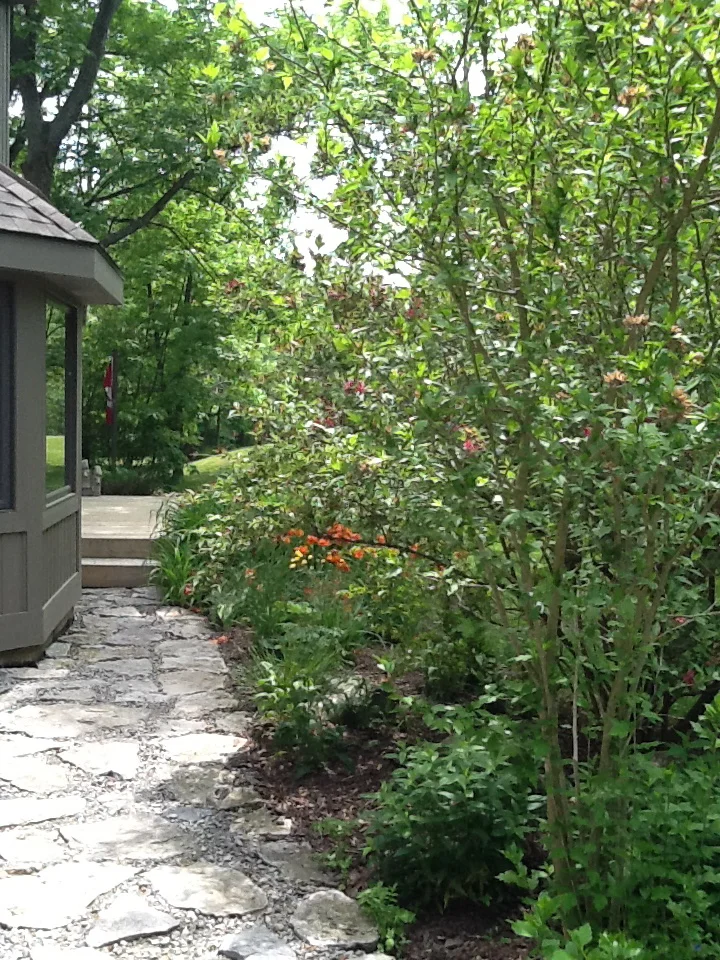 Natural stone path