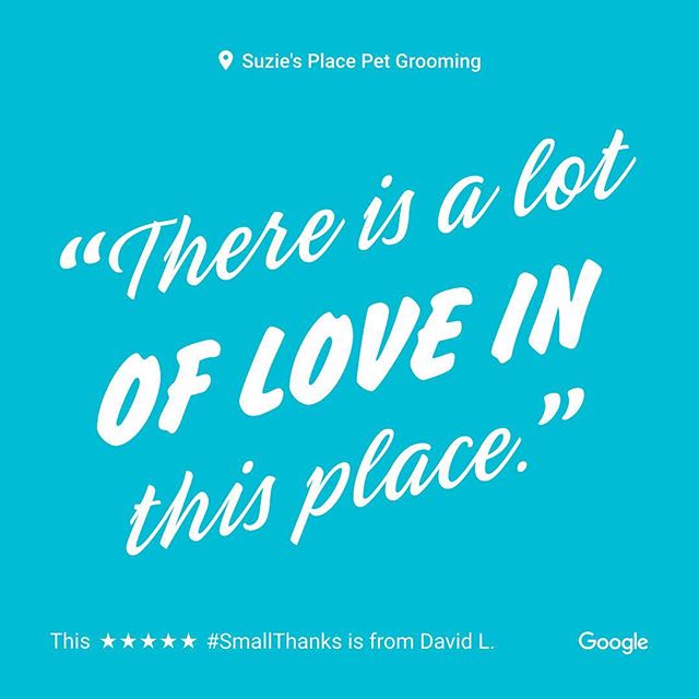 Just one of our great Google reviews from our much loved customers! #googlesmallthanks #wiltonmanors #fortlauderdale