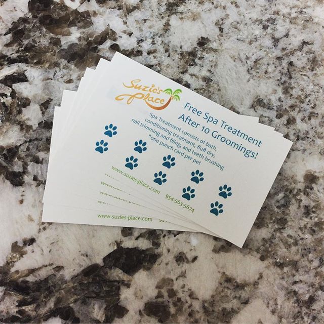 Have you gotten your loyalty card yet? Ask us at your next spaw visit! 🐶🐾 #suziesplace #wiltonmanors #puppycut #spawday