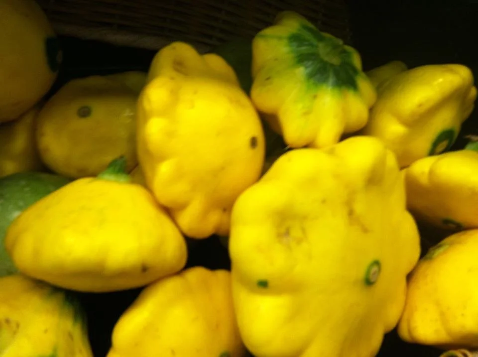 Paddy Pan Squash.jpg