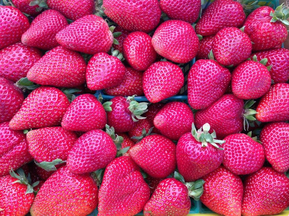 strawberries2.JPG