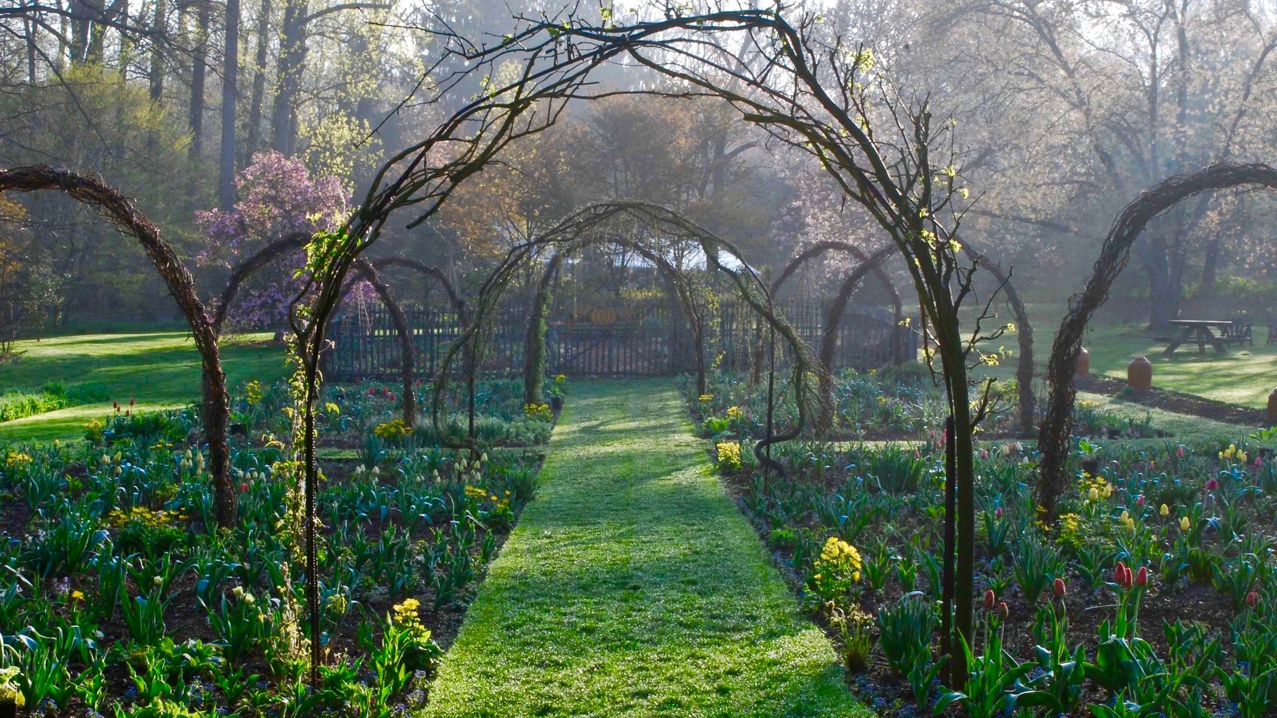 GardenArch(2)(16x9).jpg