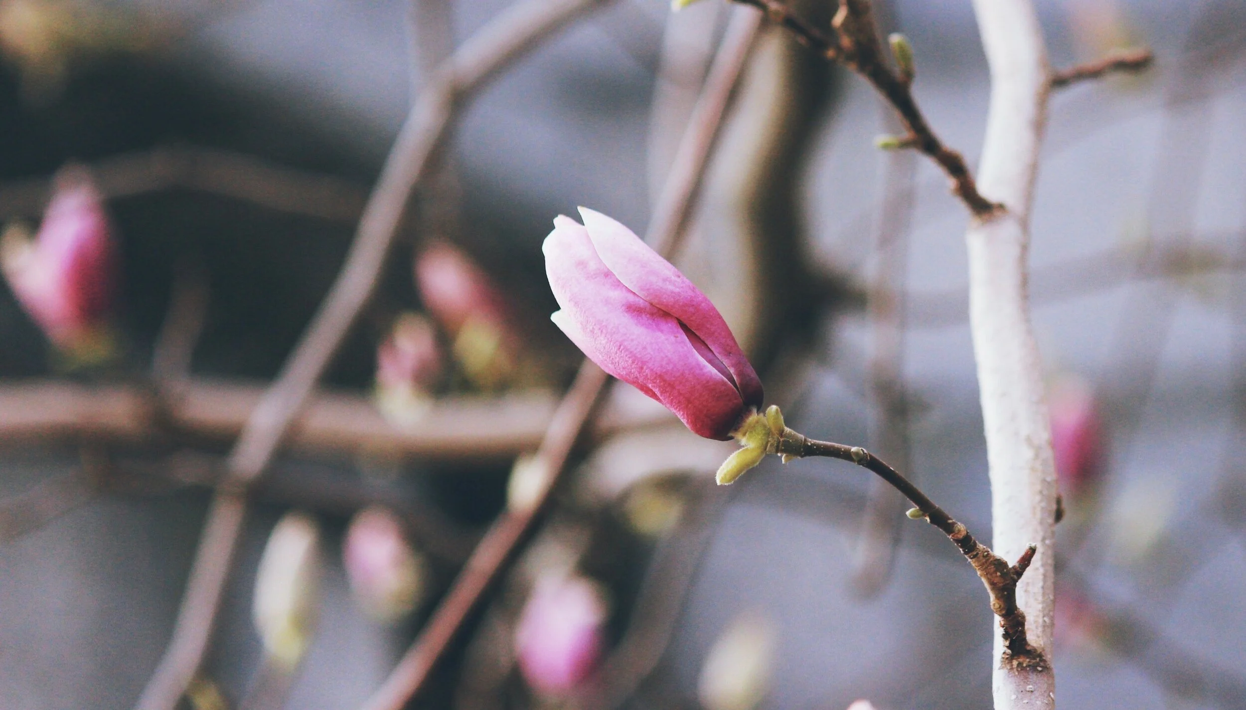 APRIL