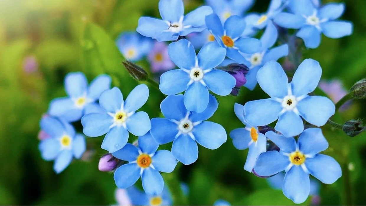 JUNE