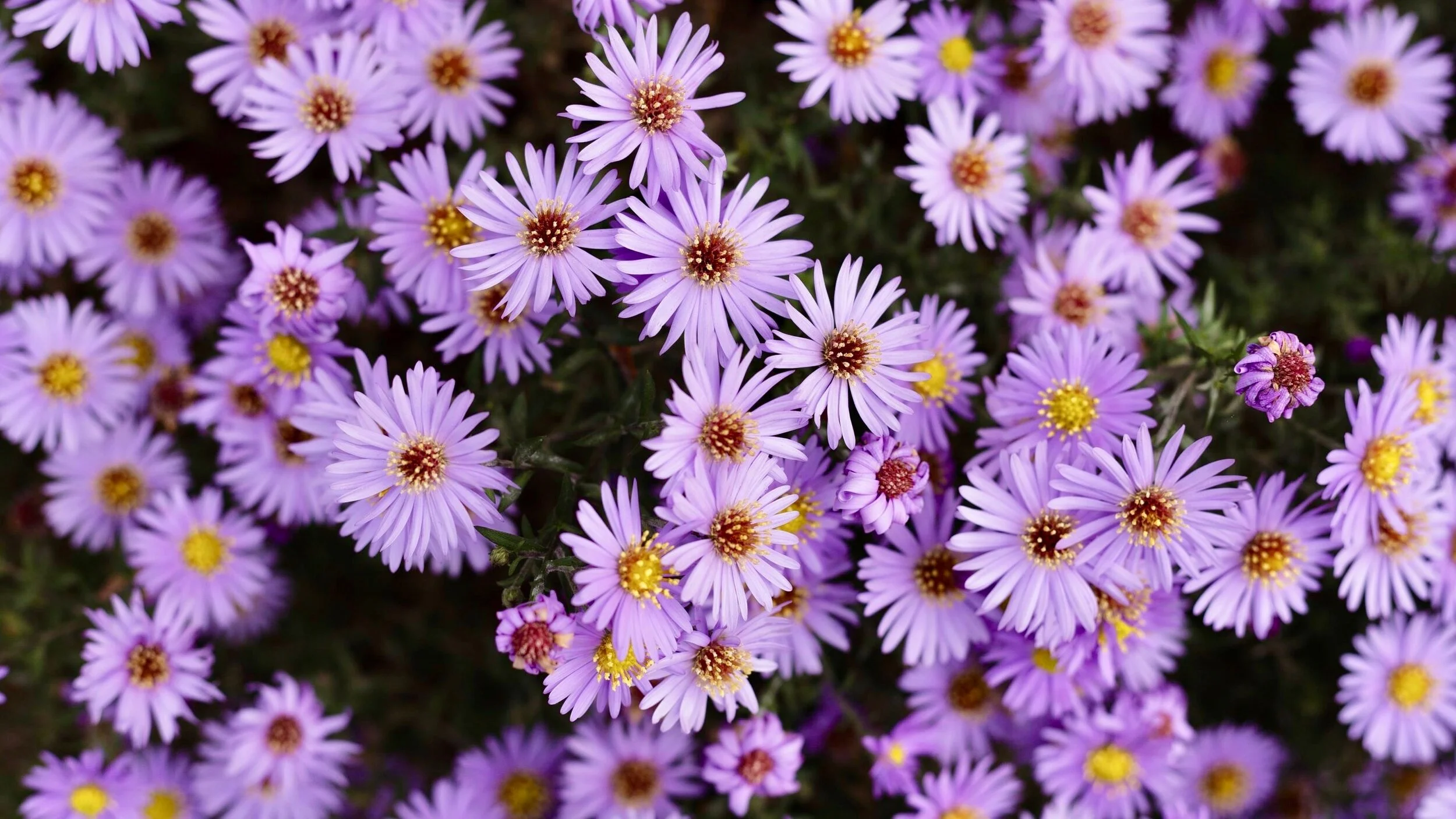 SEPTEMBER