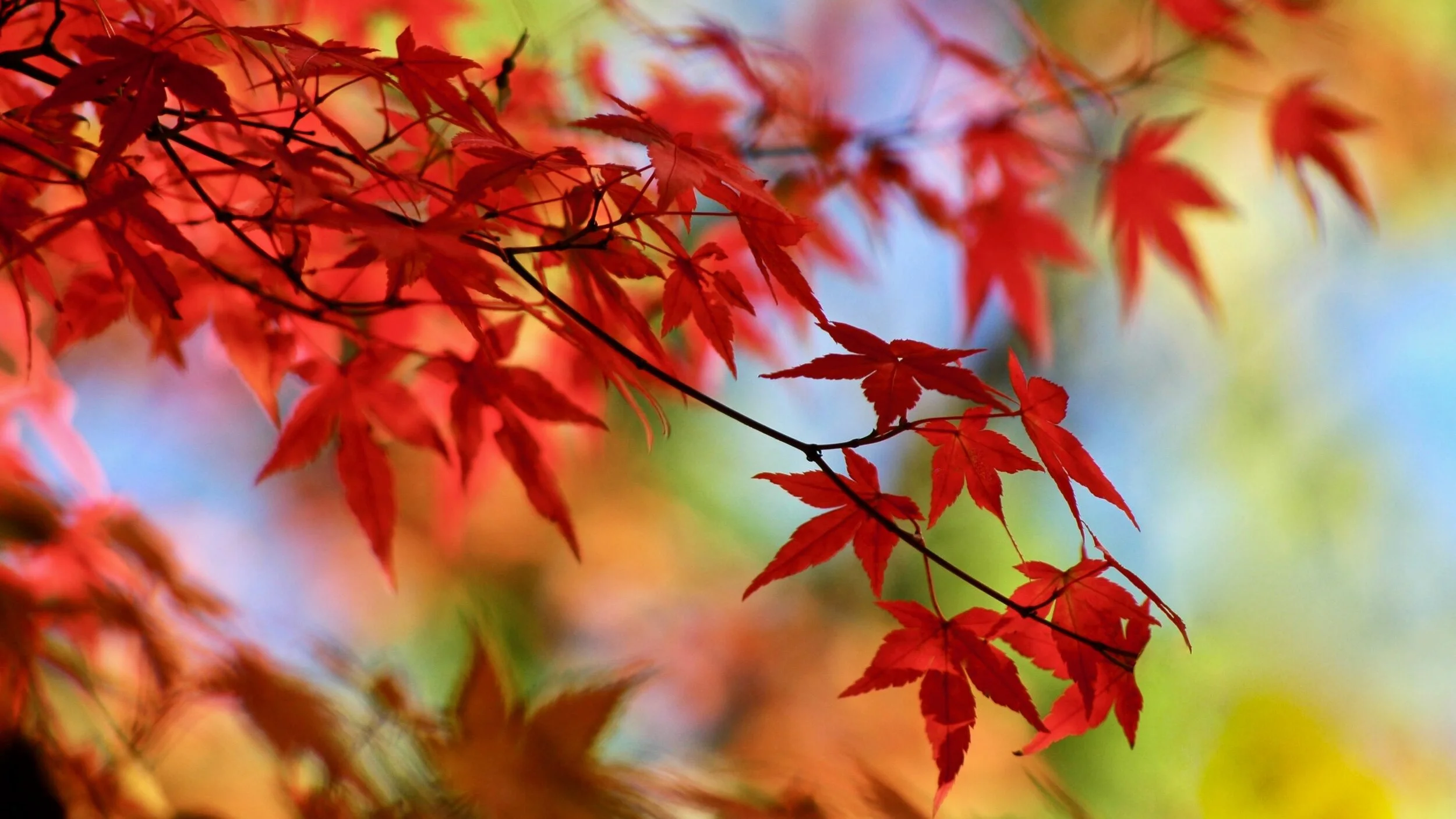 NOVEMBER