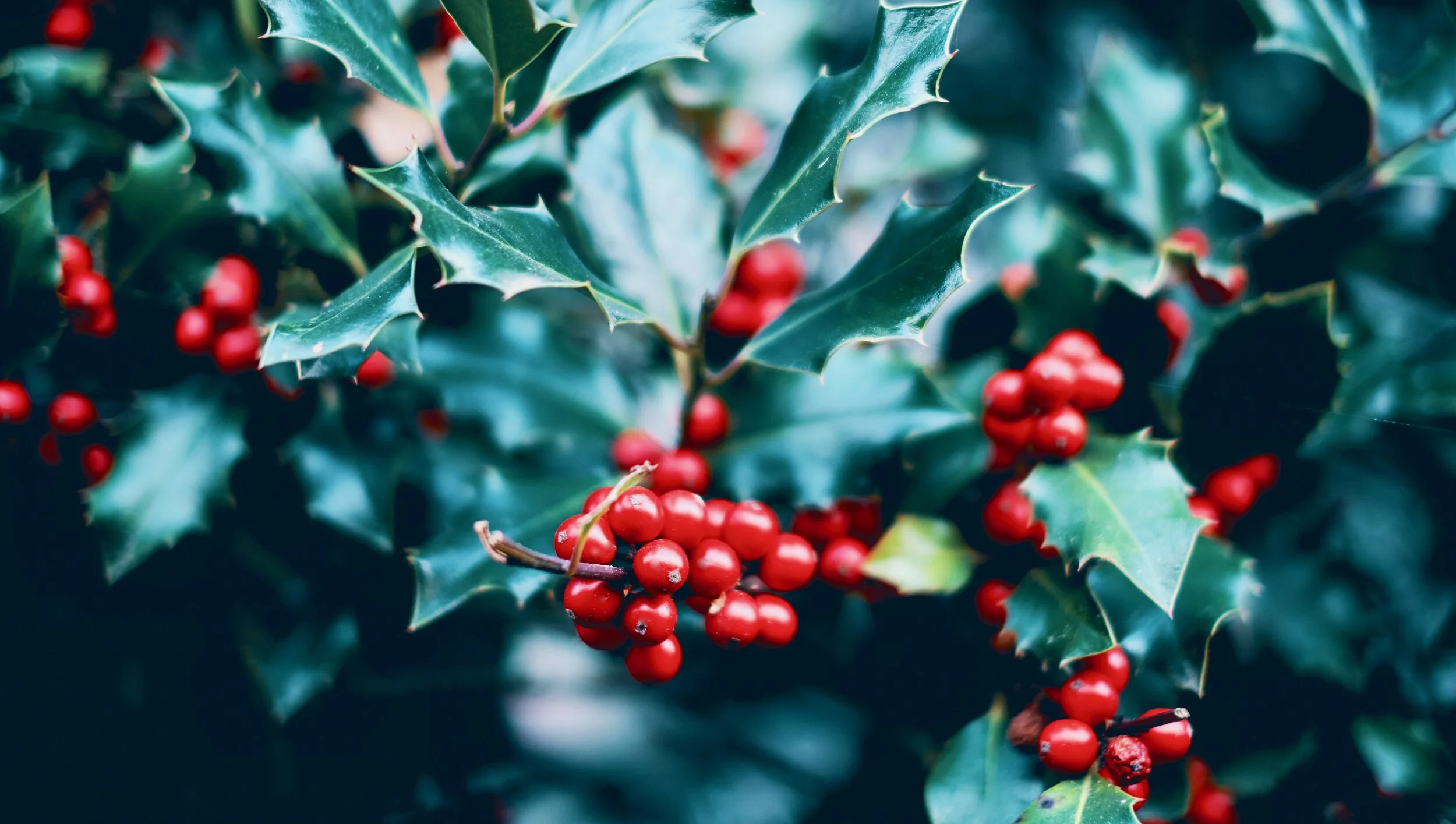 DECEMBER