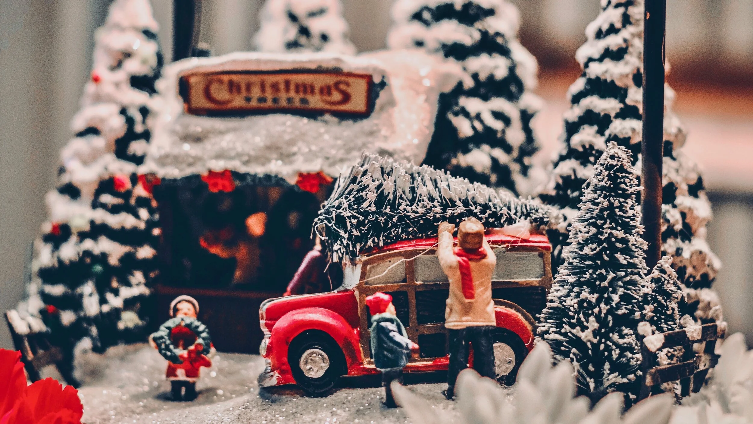 EVERYTHING CHRISTMAS TREES!