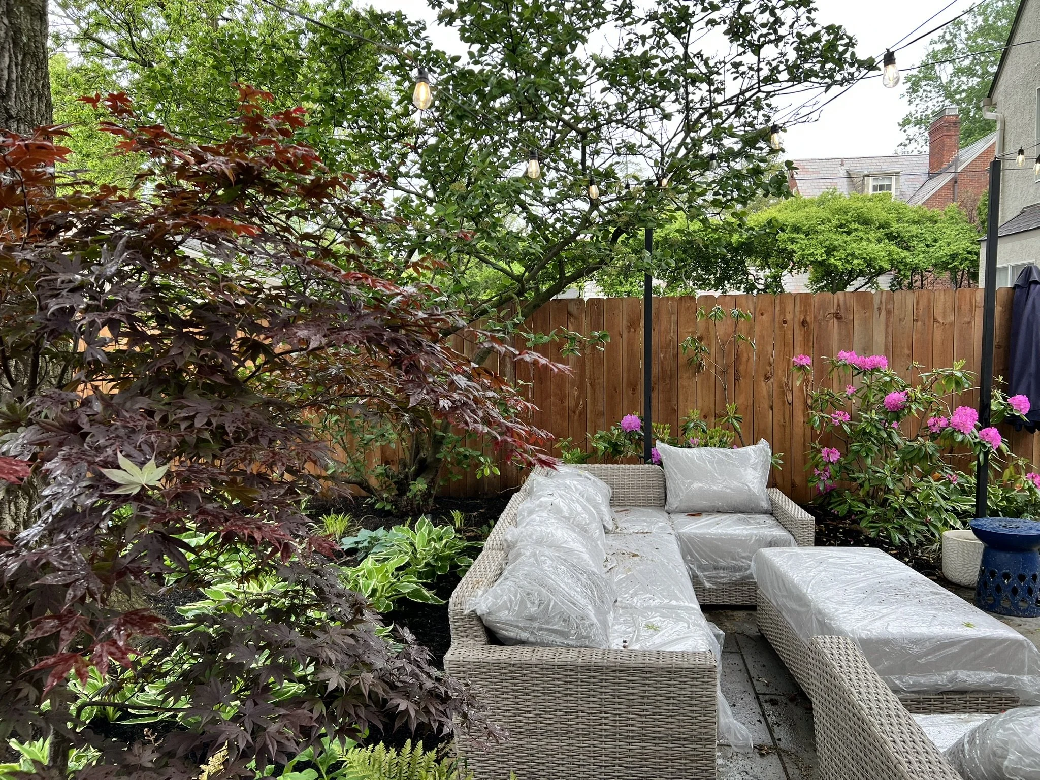 landscape patio with rhododendron.JPEG