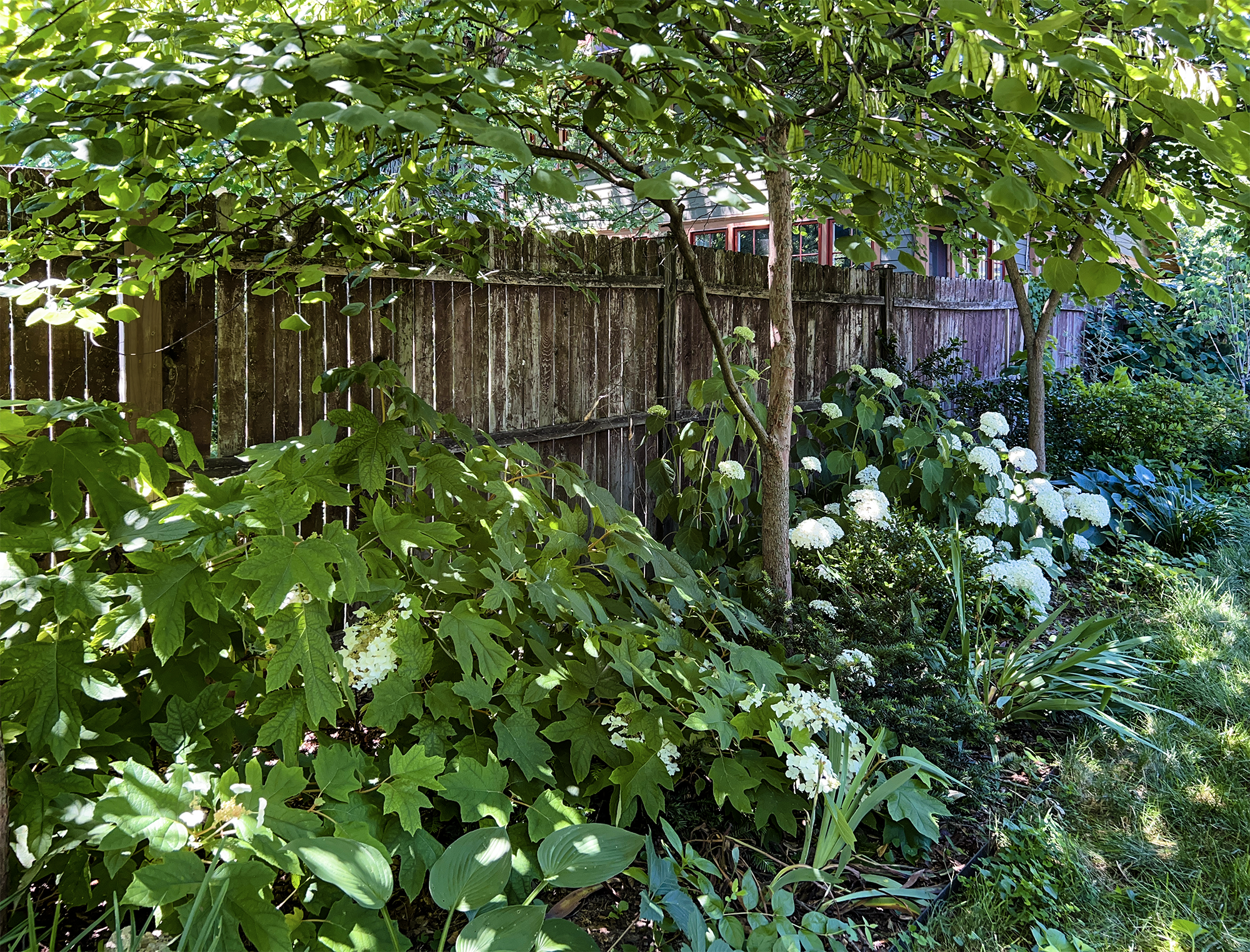 Clintonville Garden — Ethan McGory Garden Design & Landscape Architecture