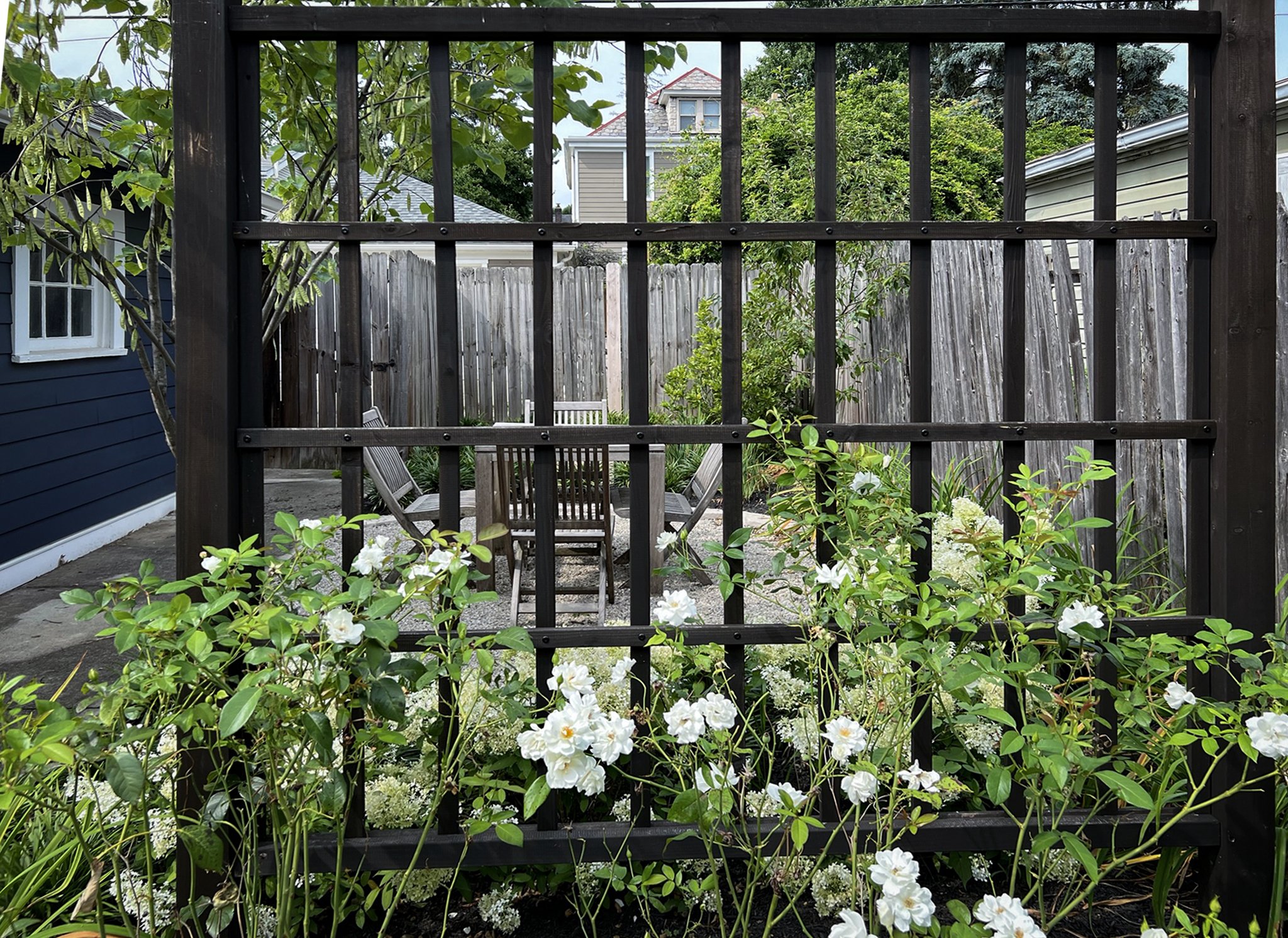 Landscape Architecture Design Gravel Patio and Screen and redbud.jpg