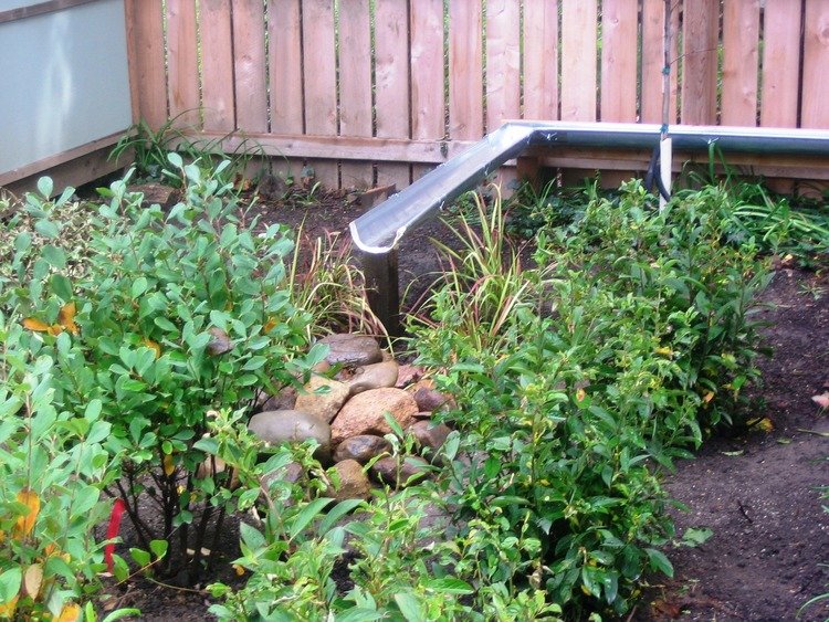 modern-rain-garden-design-landscape-4.jpg