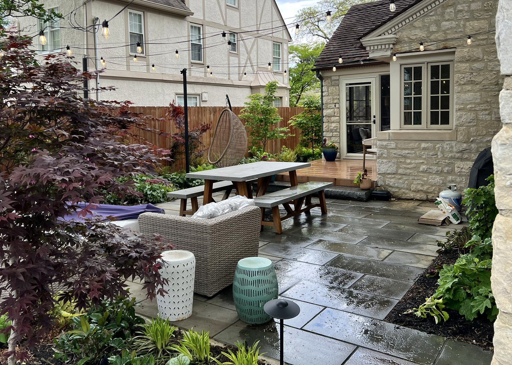 backyard landscape with japanese maple.jpg