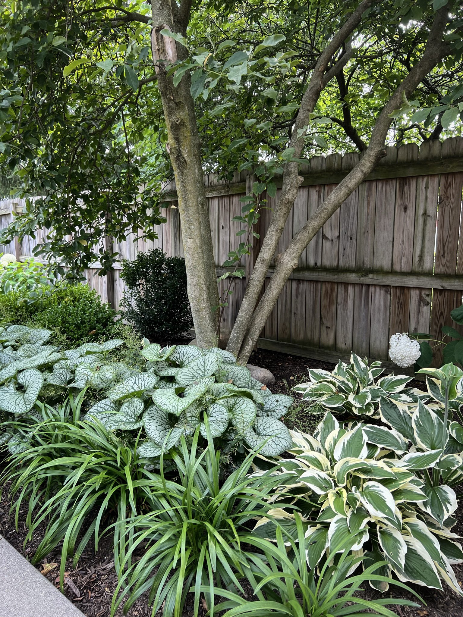 textural garden clintonville.JPEG