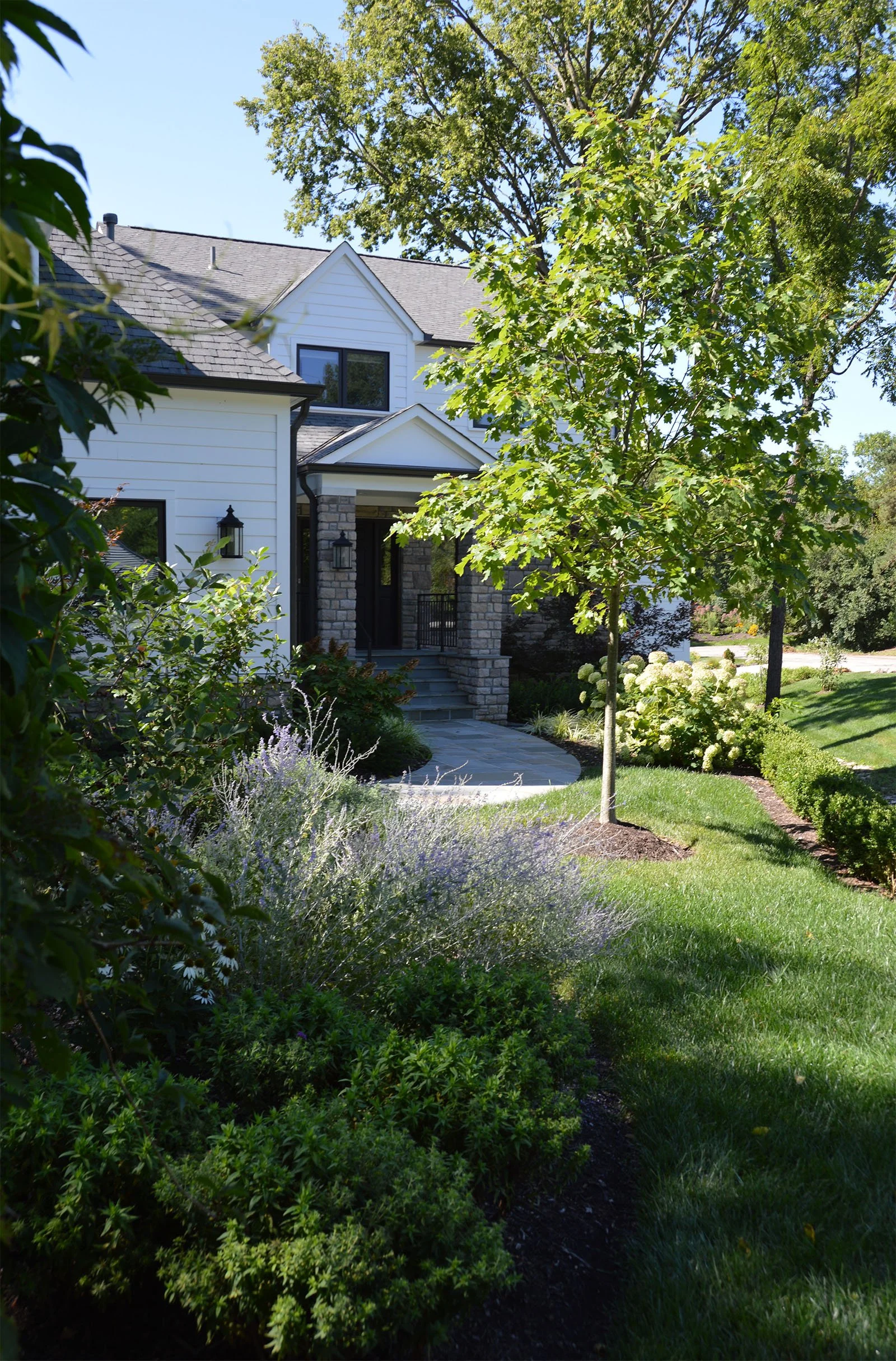 lush garden with russian sage.jpg