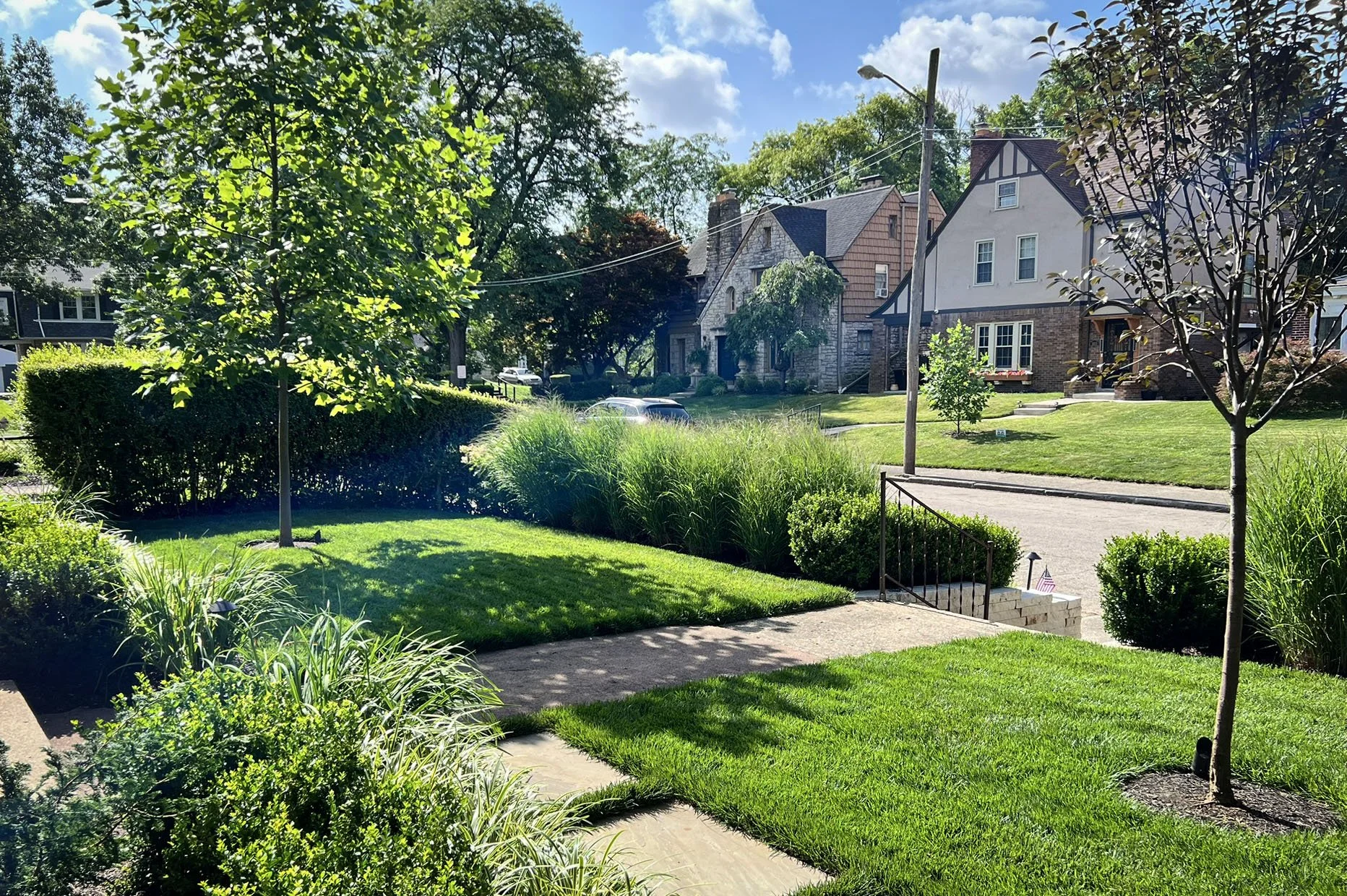 front lawn with switchgrass.jpg