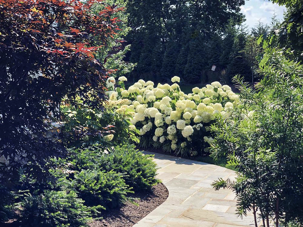 landscape architecture garden design.png