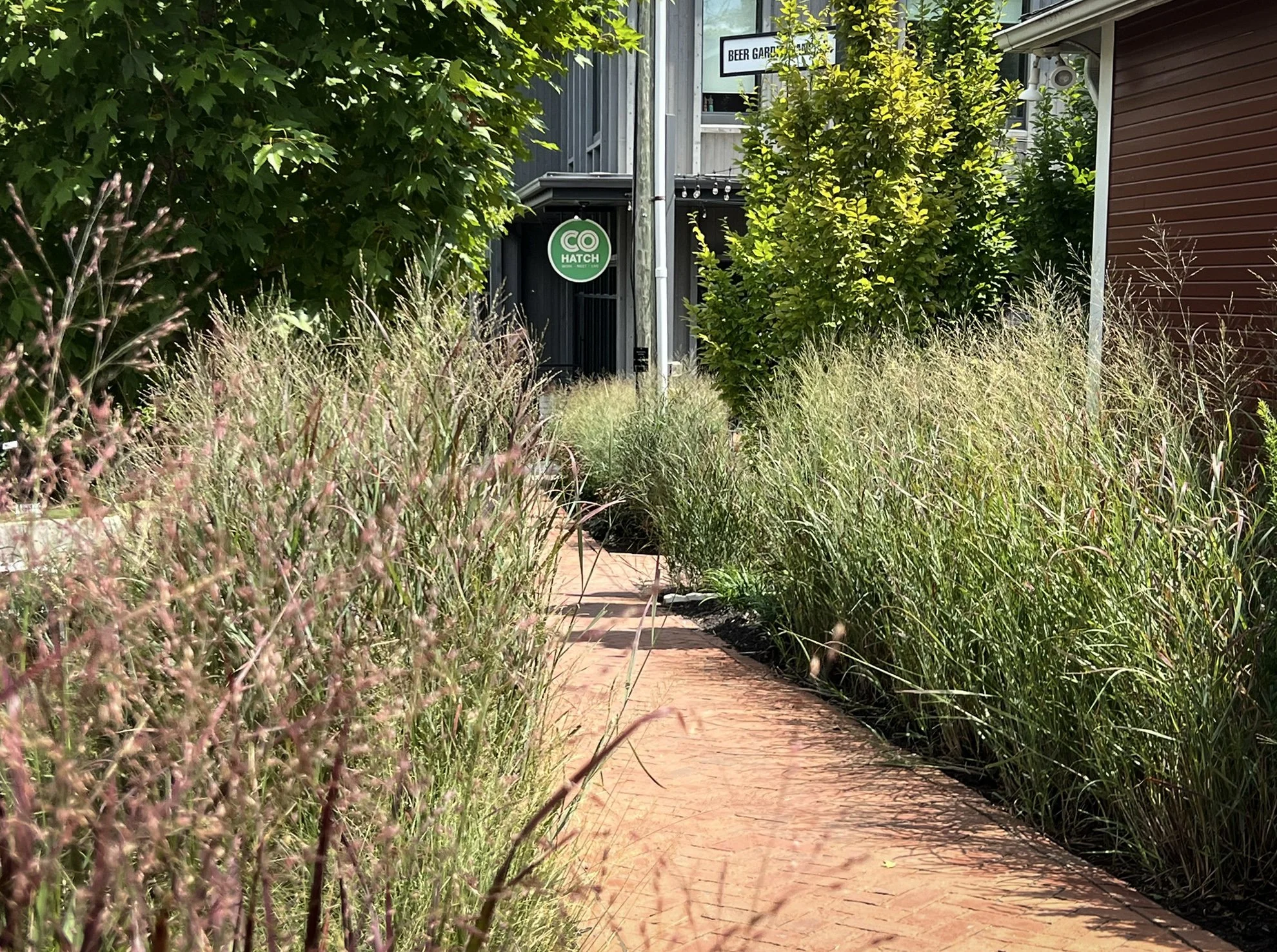 Cohatch dublin landscape architecture.jpg