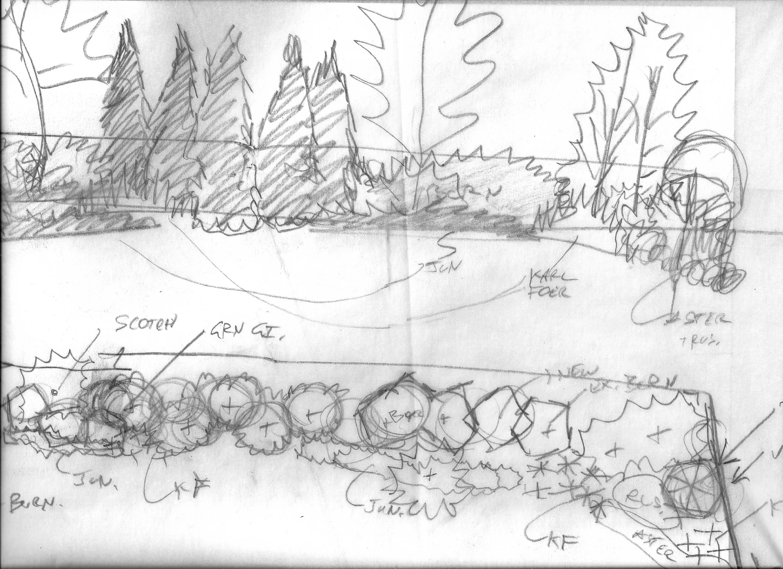 landscape design sketch.jpg