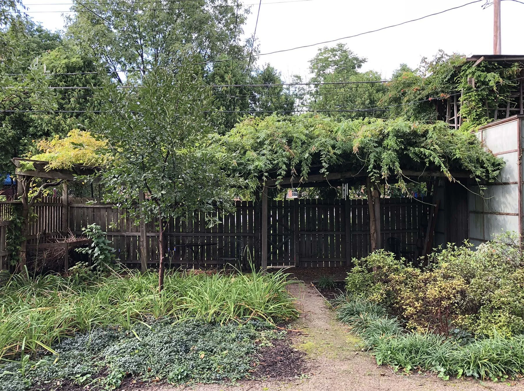 modern-rain-garden-design-landscape-2.jpg