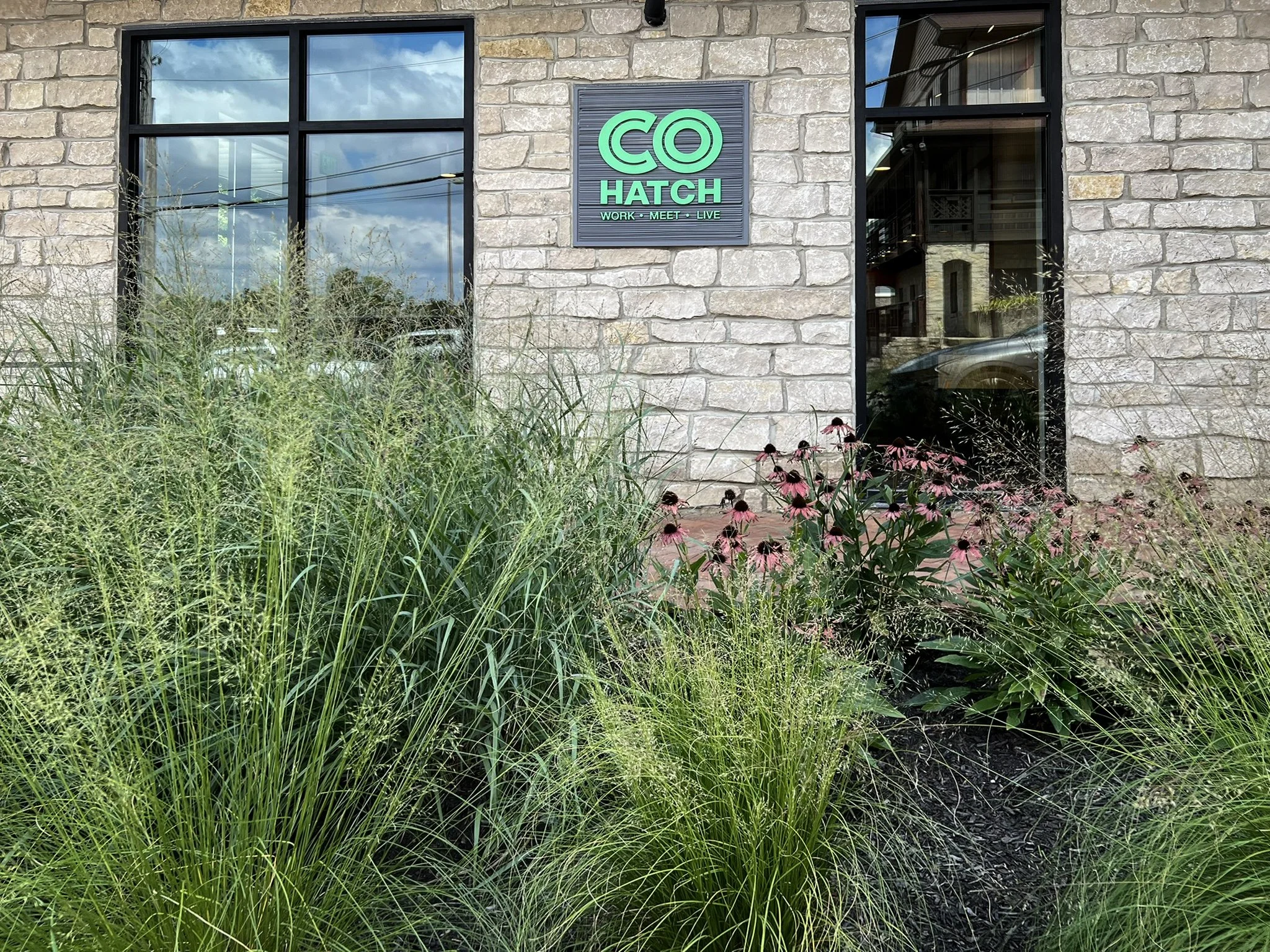 Cohatch dublin landscape architecture prairie dropseed echinacea.jpg