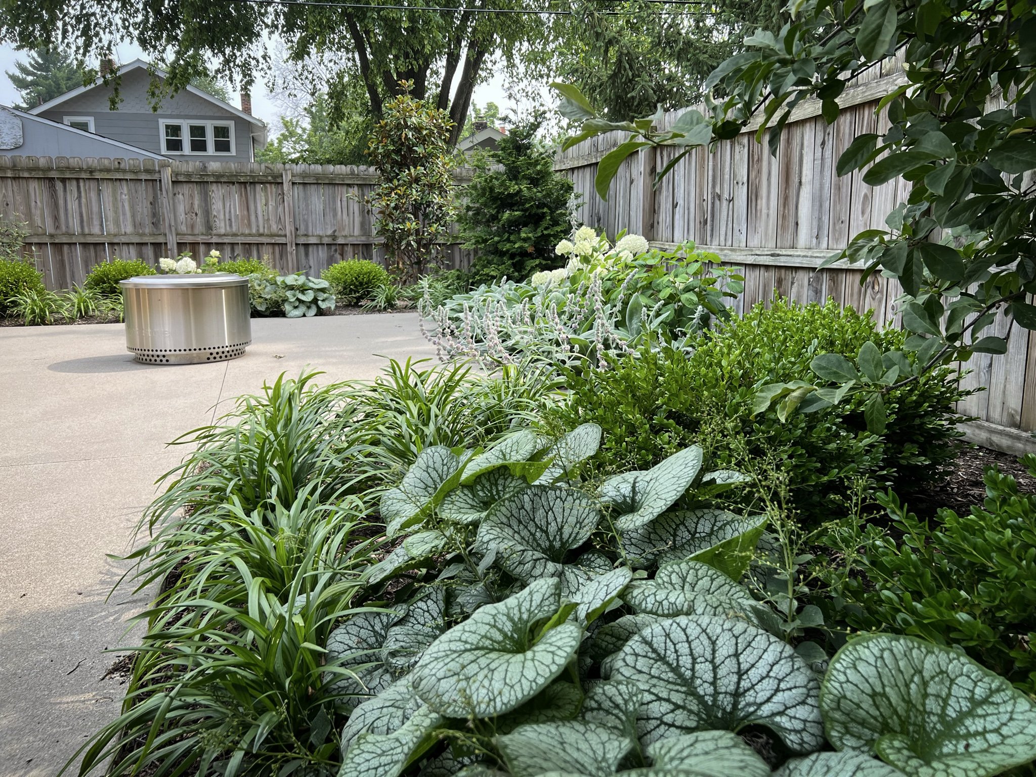 clintonville texture garden.jpg