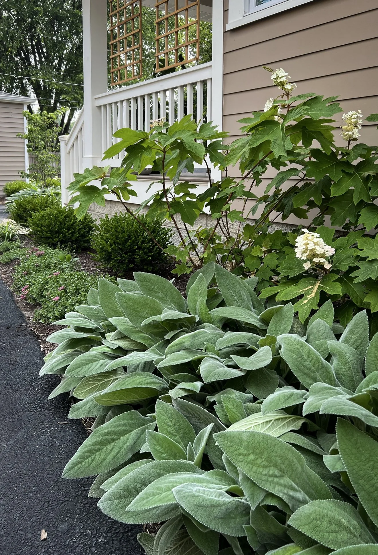 clintonville texture garden garden trellis.jpg