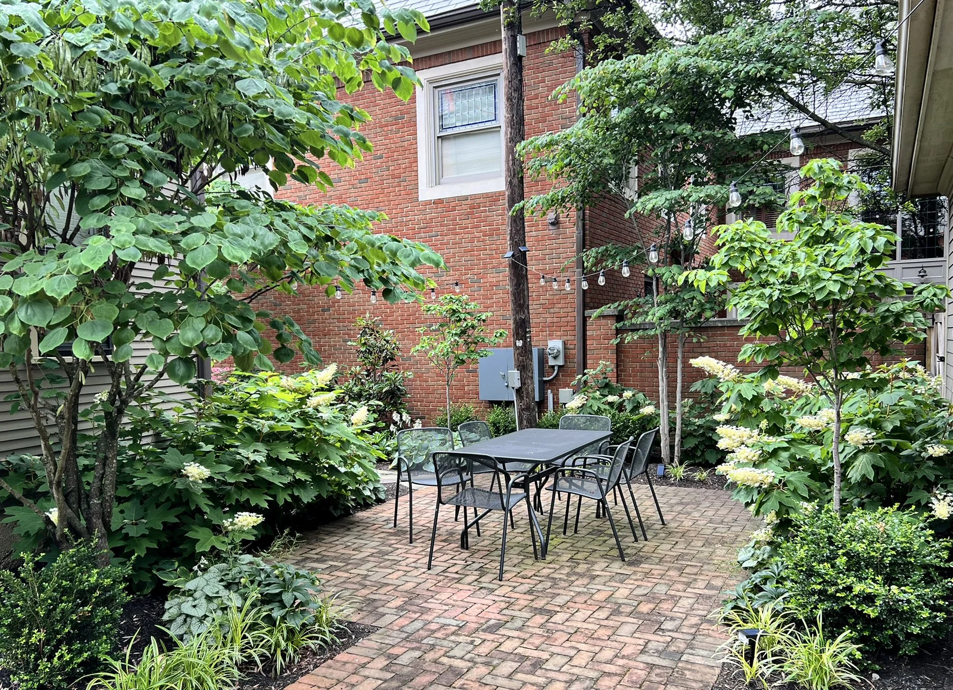 brick patio garden with textured plants.jpg