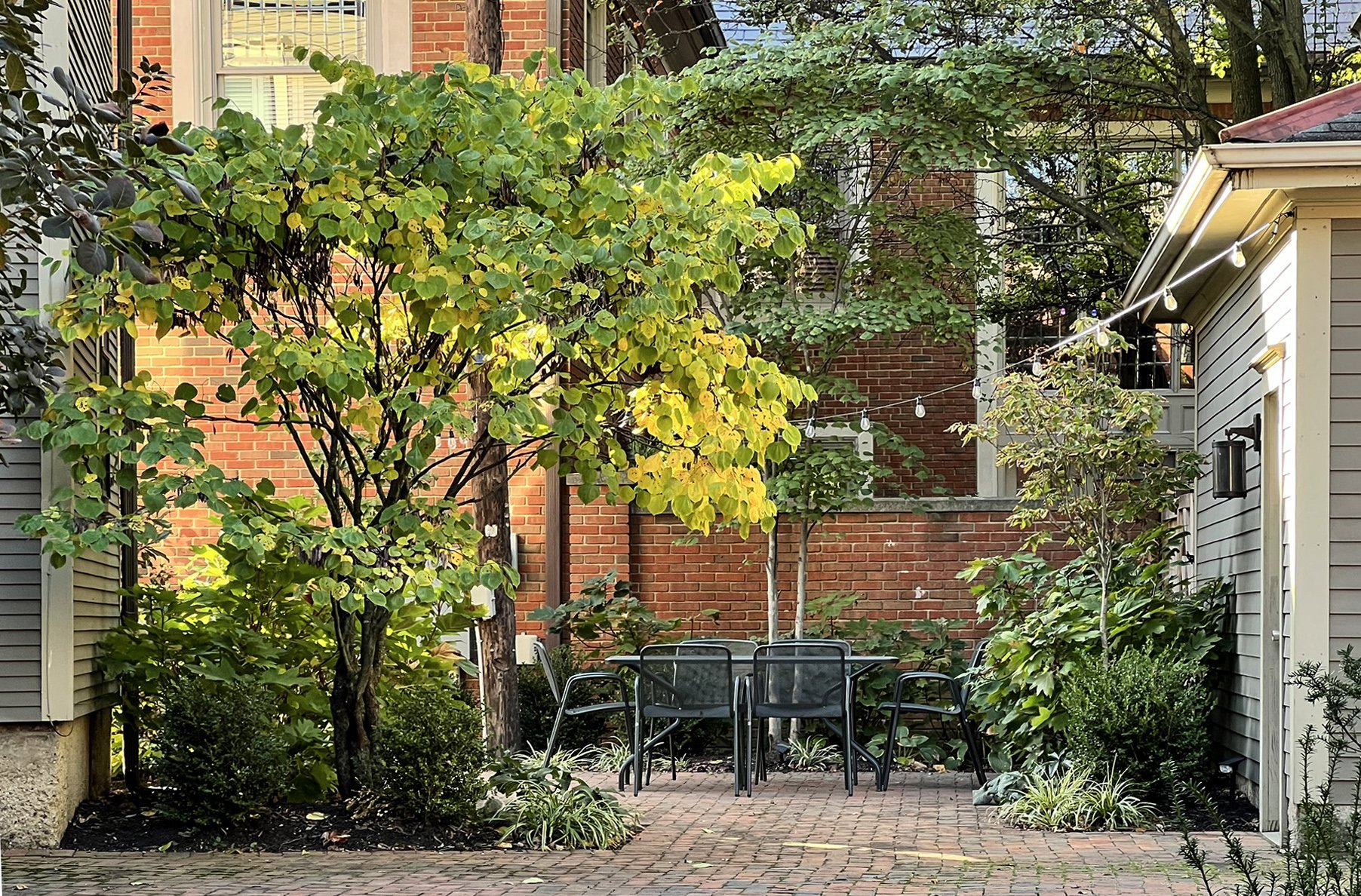 patio with string lights and lush plants.jpg