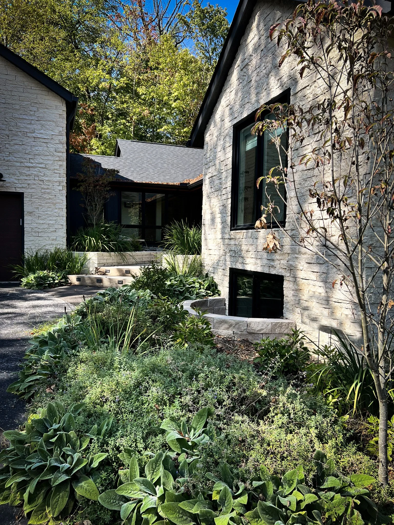 front yard courtyard garden .jpg