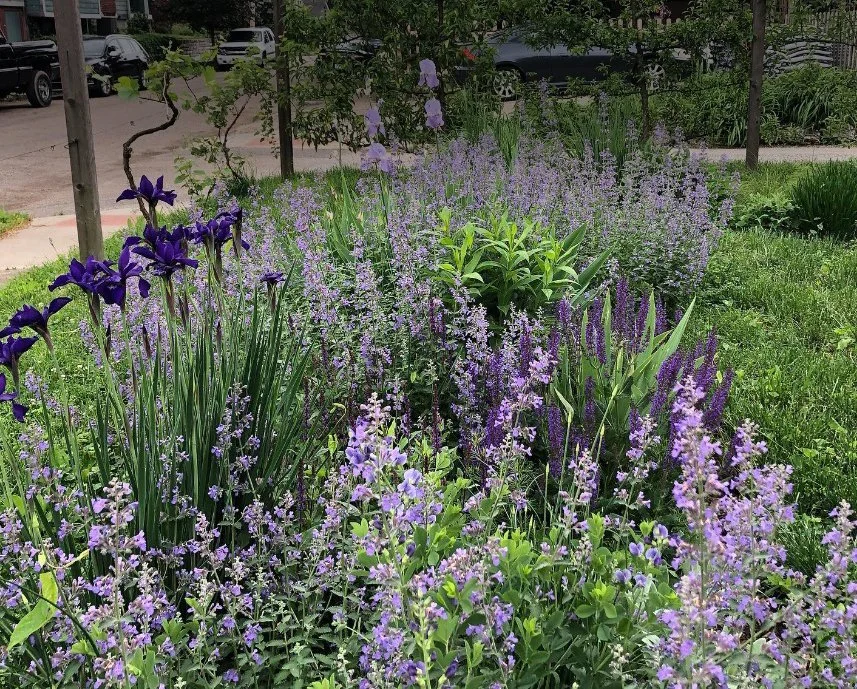 garden design background 3.jpg