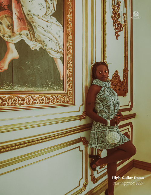 High Collar Dress.png