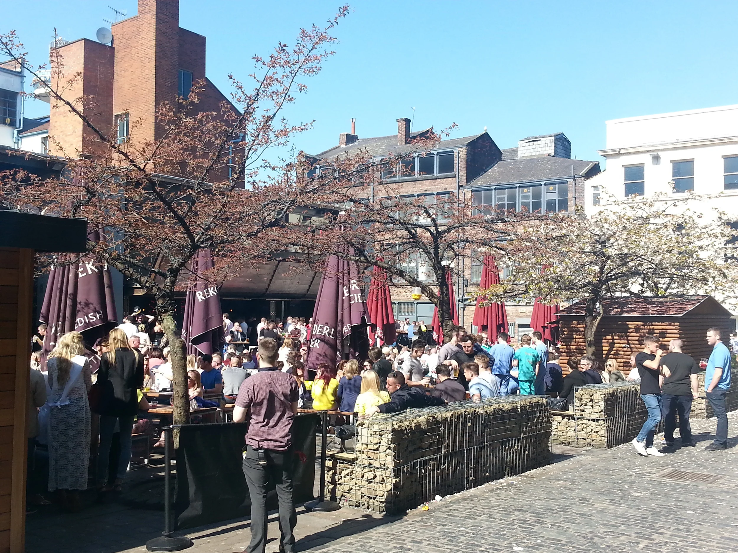 Liverpool buzz