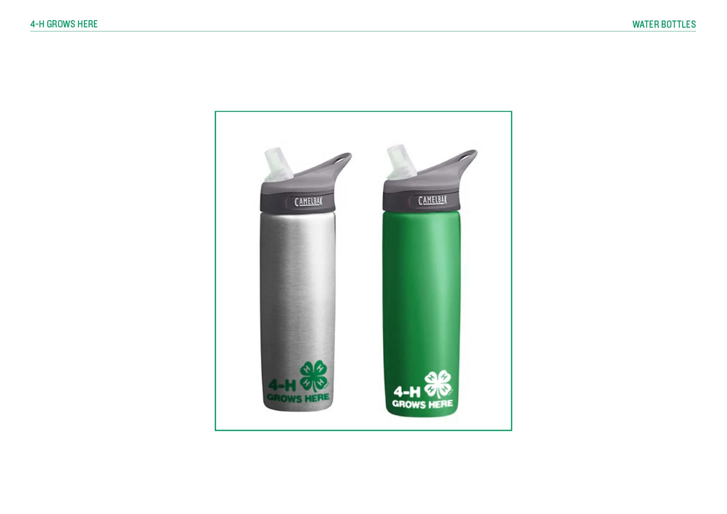 4H Mall Items_Page_27.jpg